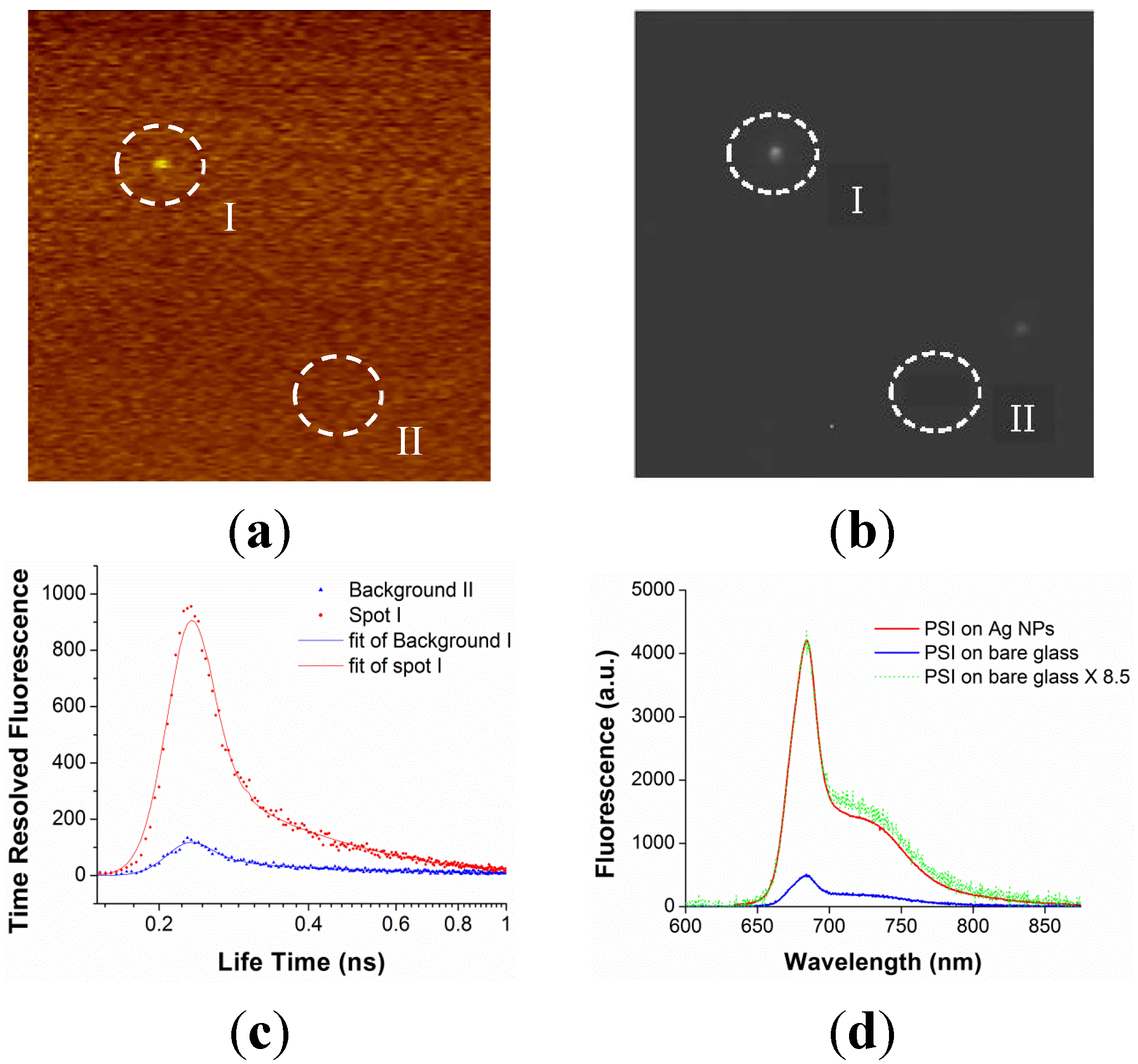 Materials 08 04332 g007 1024