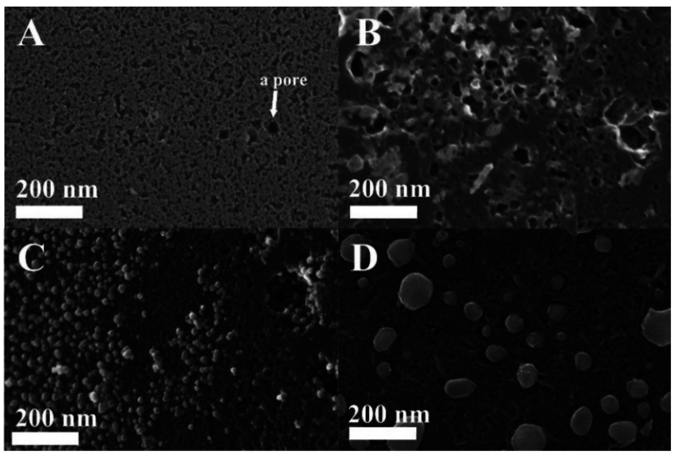 Materials 08 04593 g003