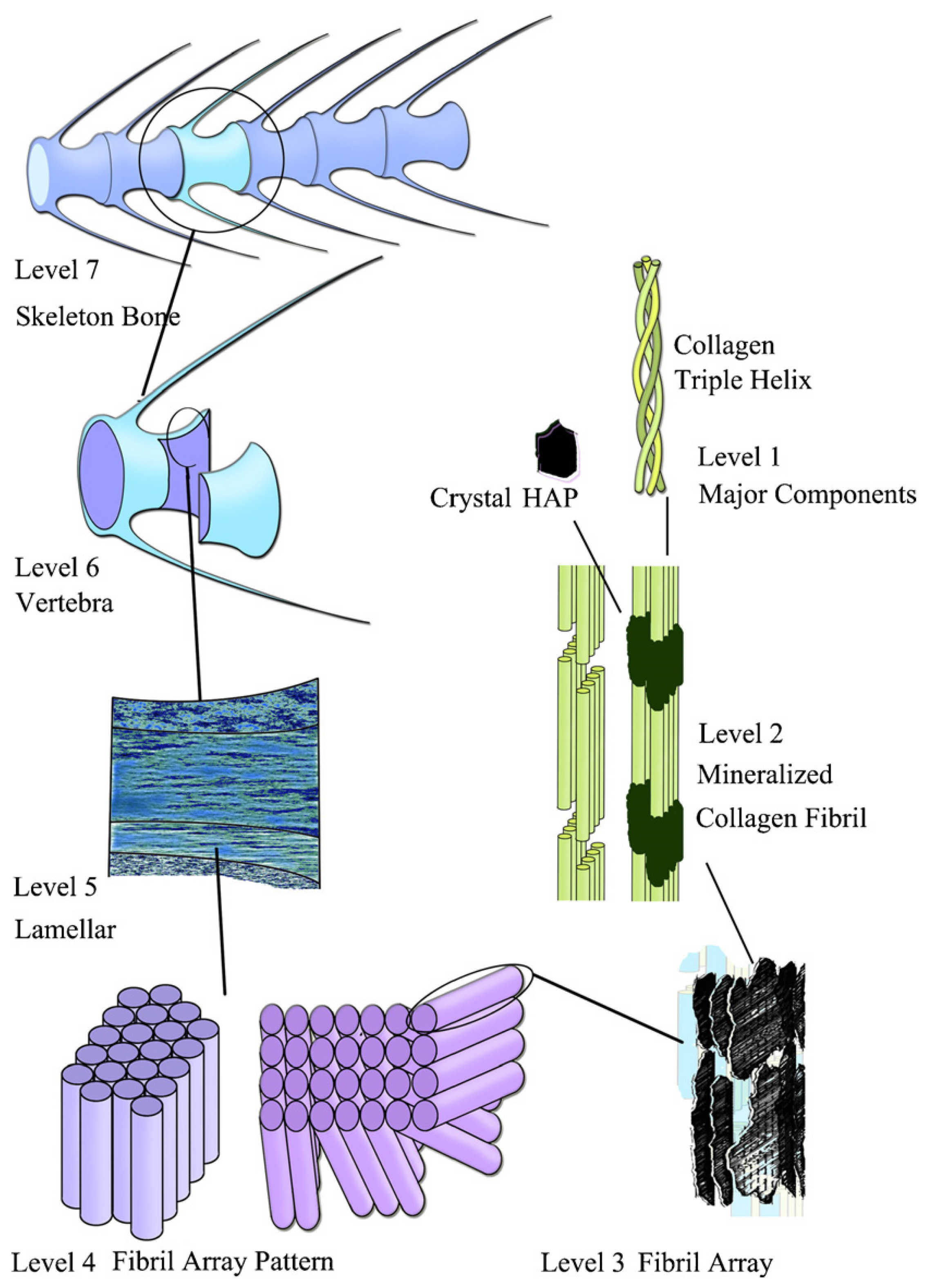 Materials 08 04733 g001