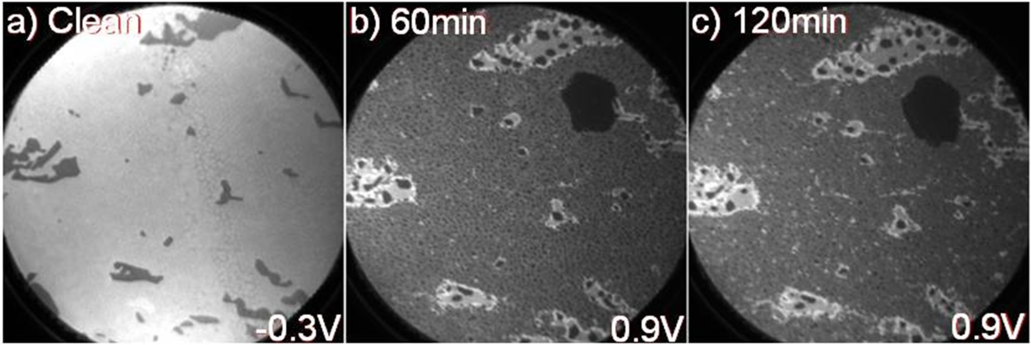 Materials 08 04768 g004 1024