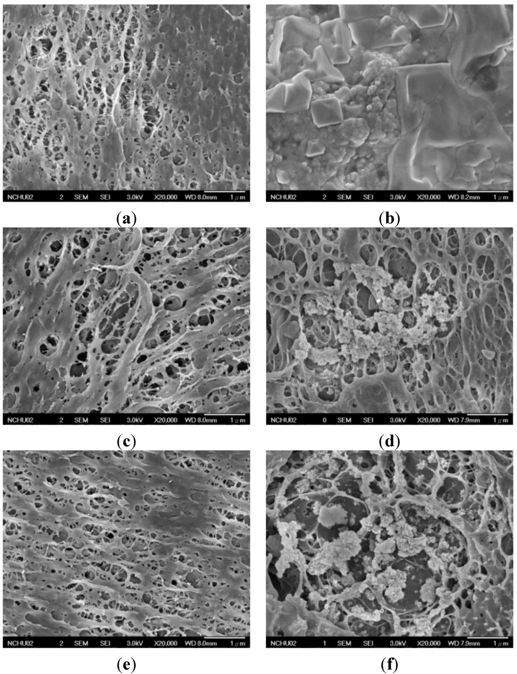 Materials 08 04895 g002a 1024