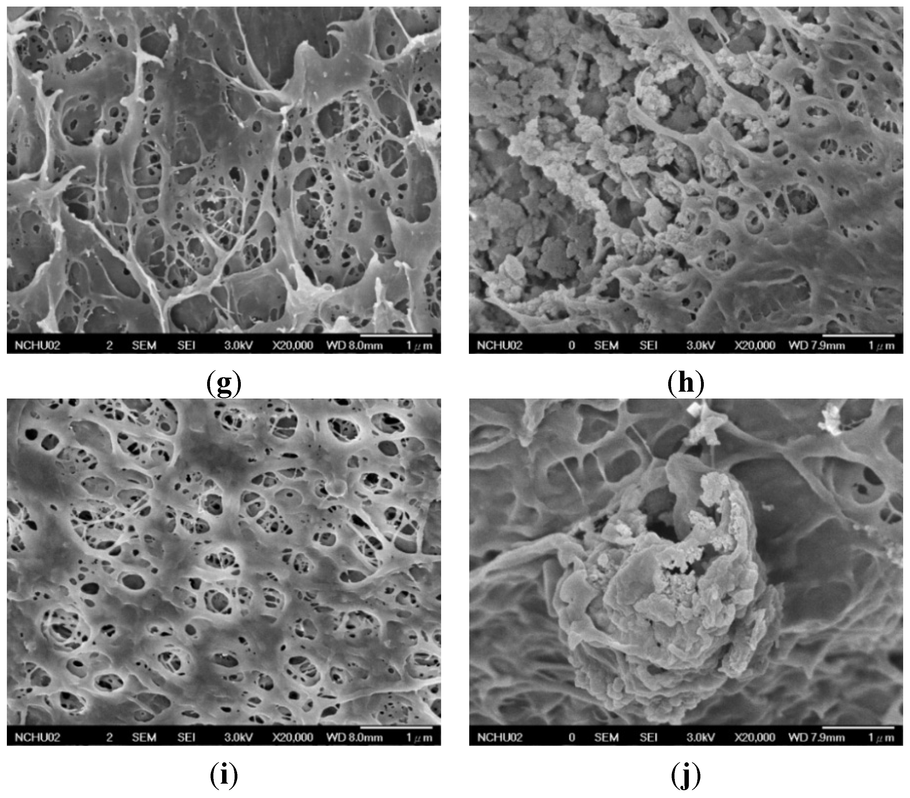 Materials 08 04895 g002b