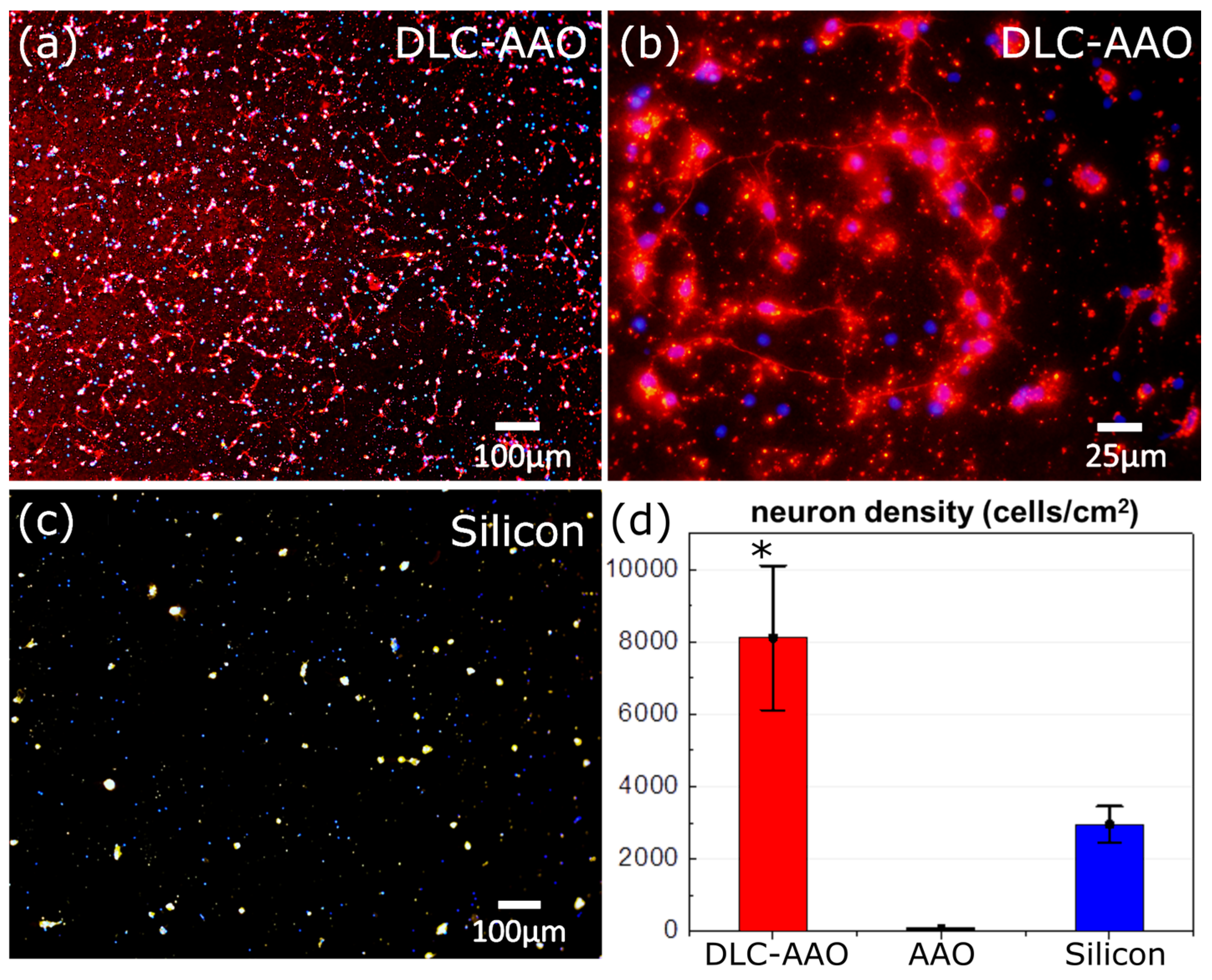 Materials 08 04992 g006