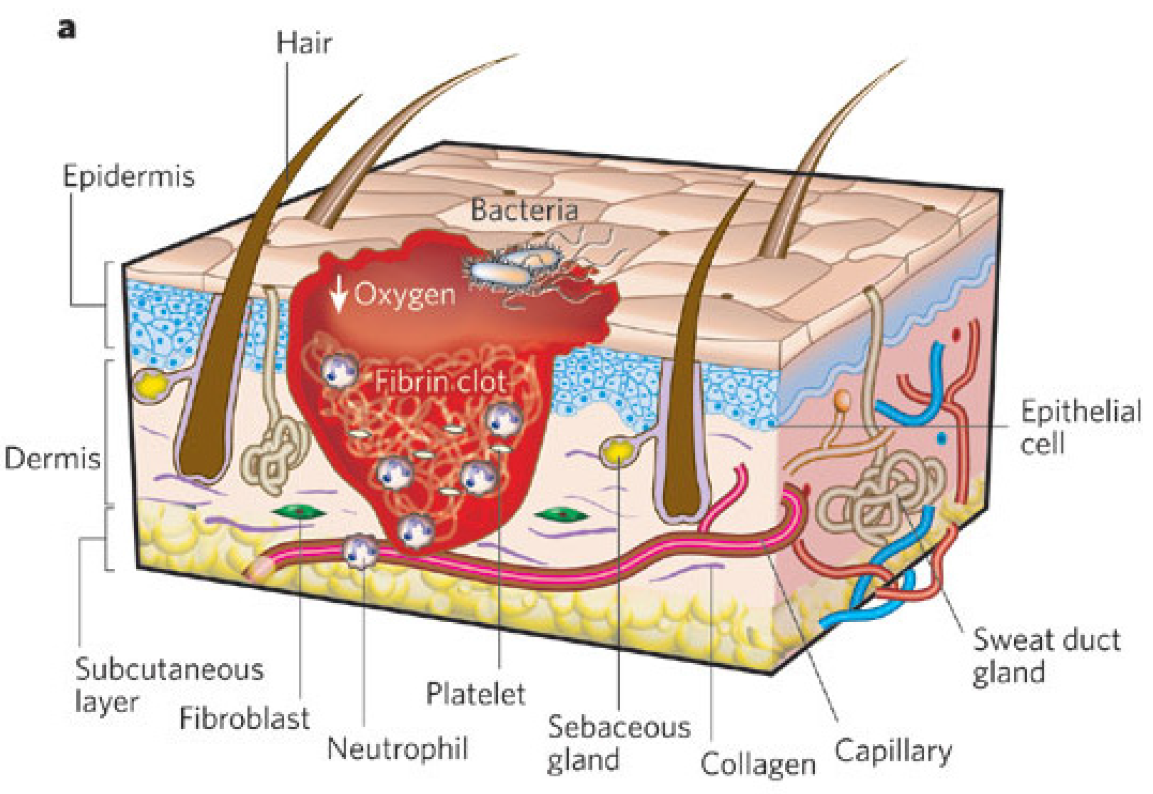 Materials 08 05154 g003a