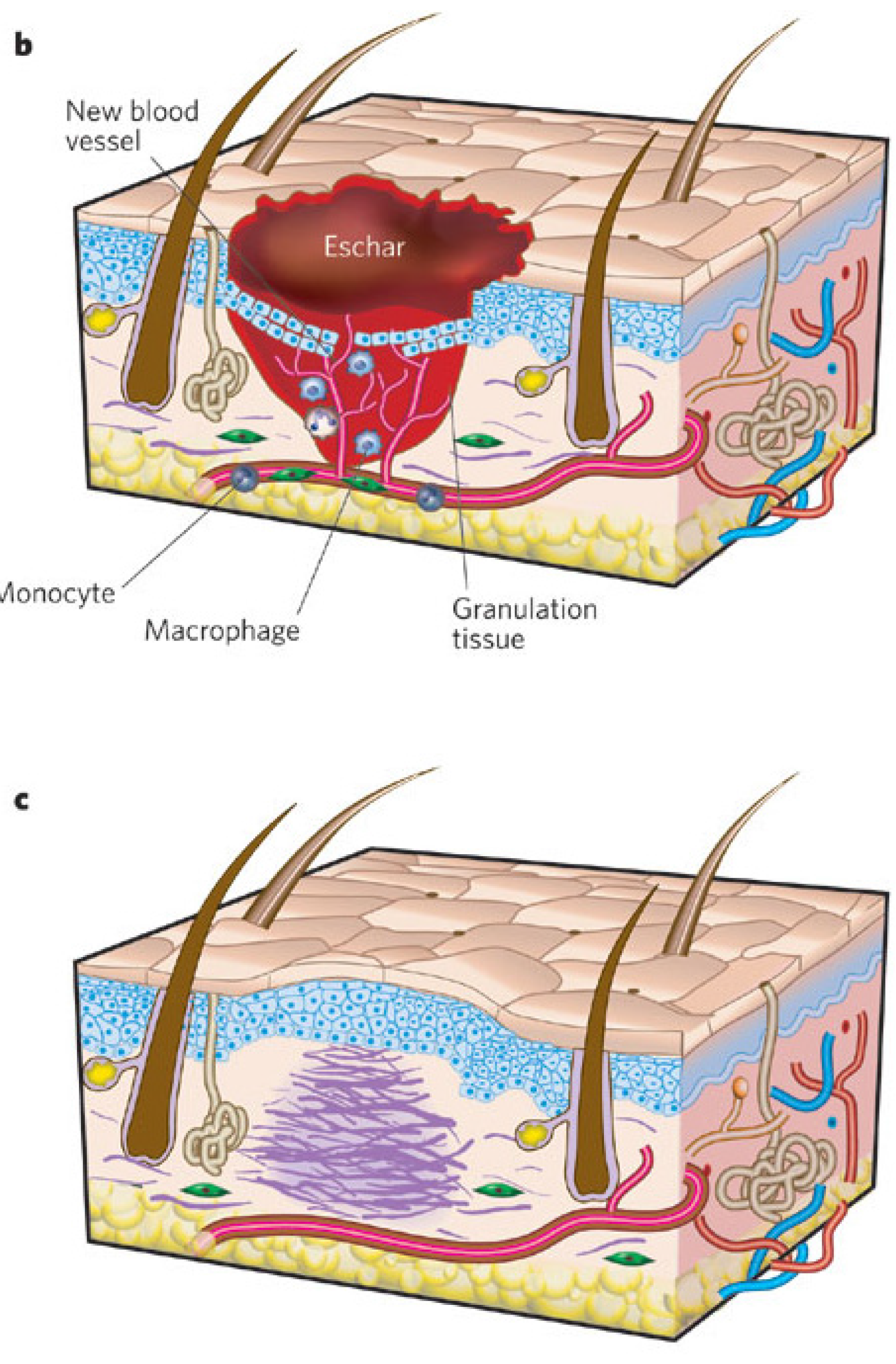 Materials 08 05154 g003b