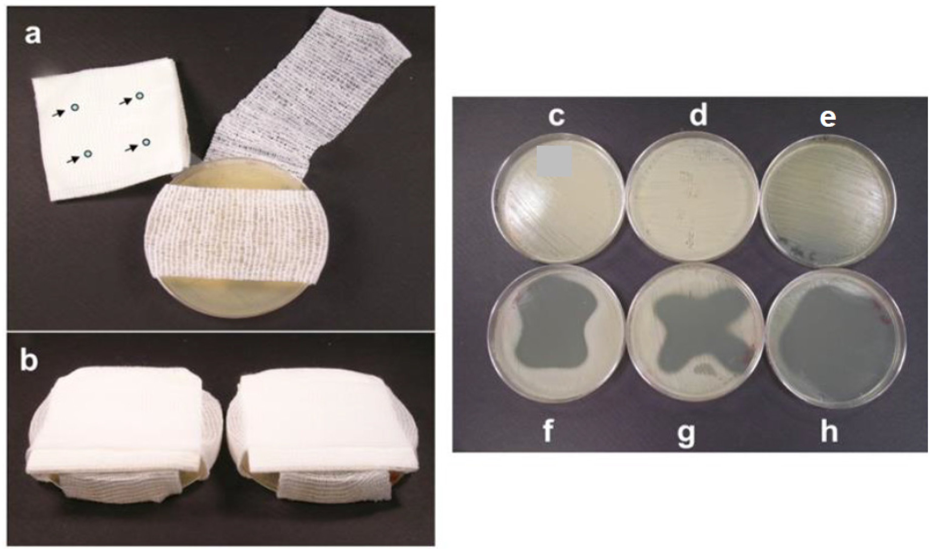 Materials 08 05154 g006