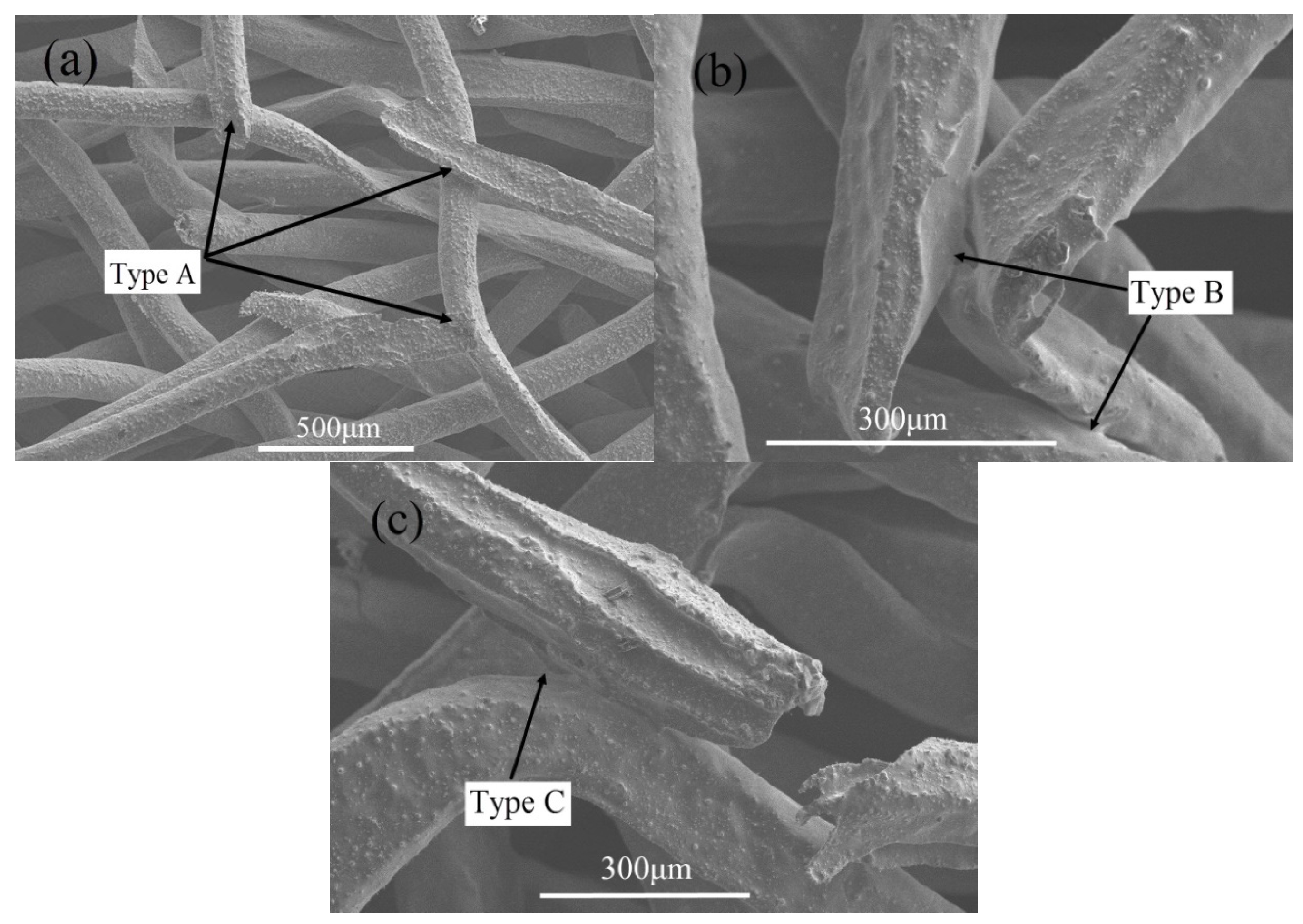 Materials 08 05266 g003 1024