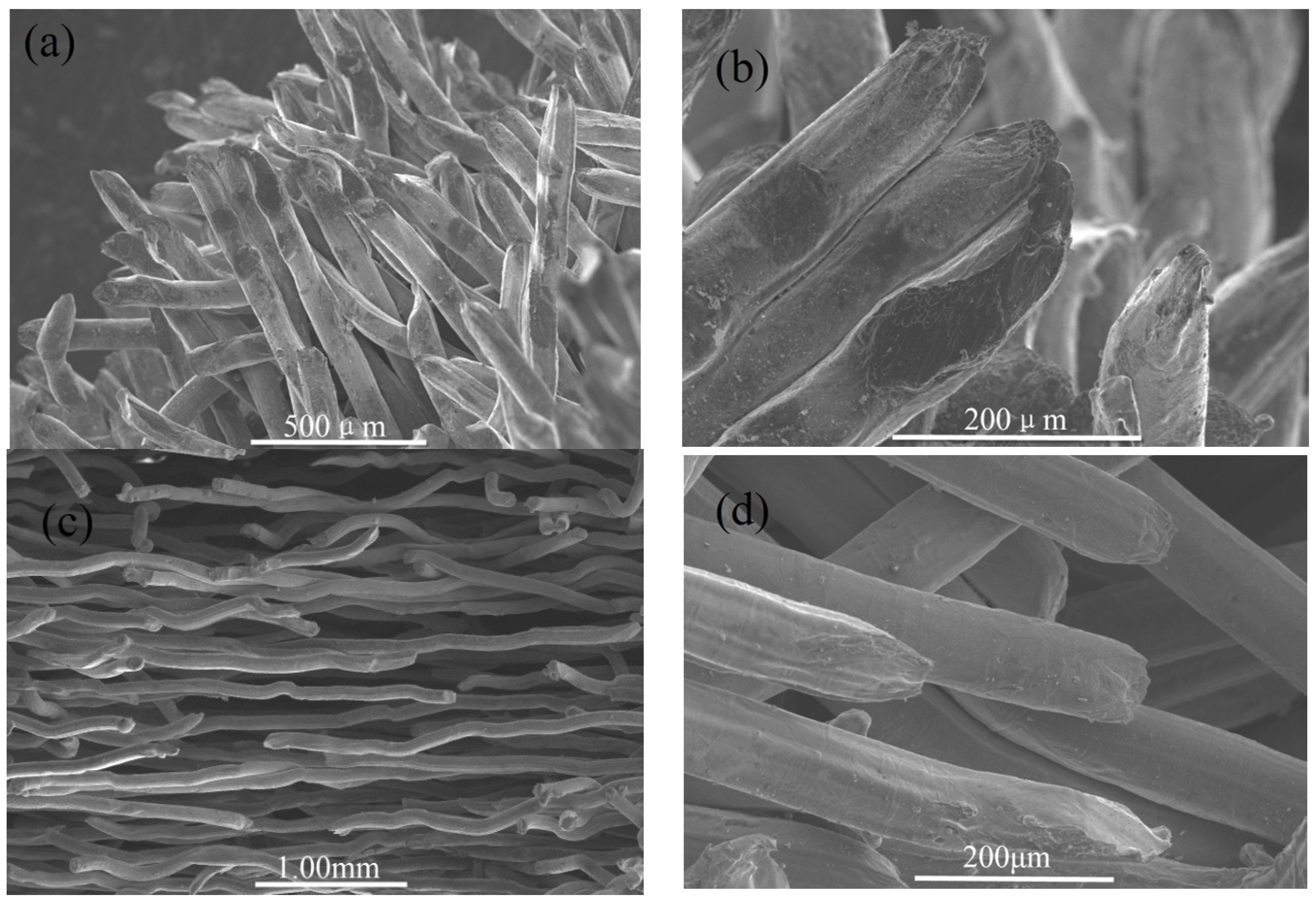 Materials 08 05266 g005 1024