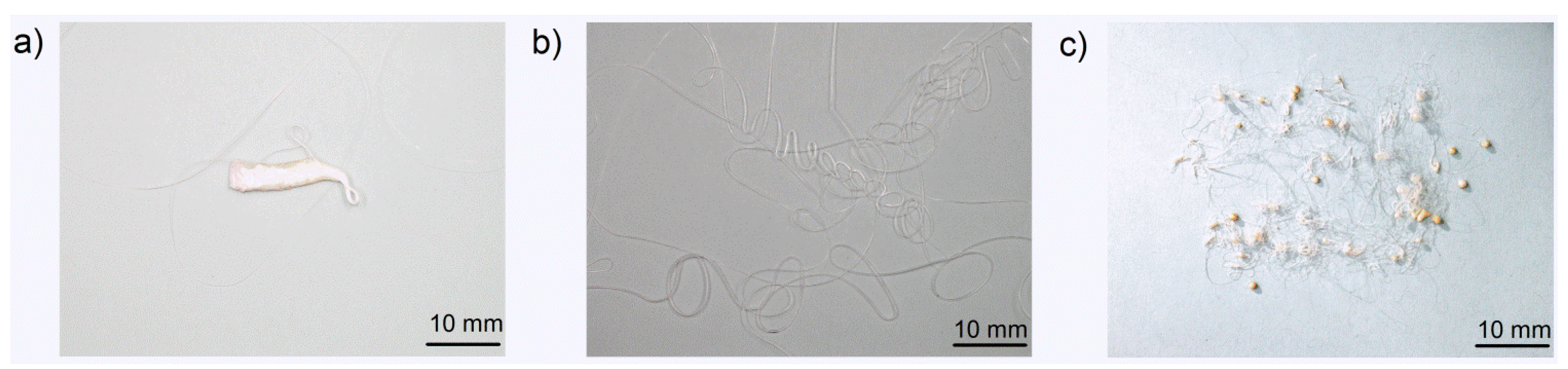 Materials 08 05267 g004 1024