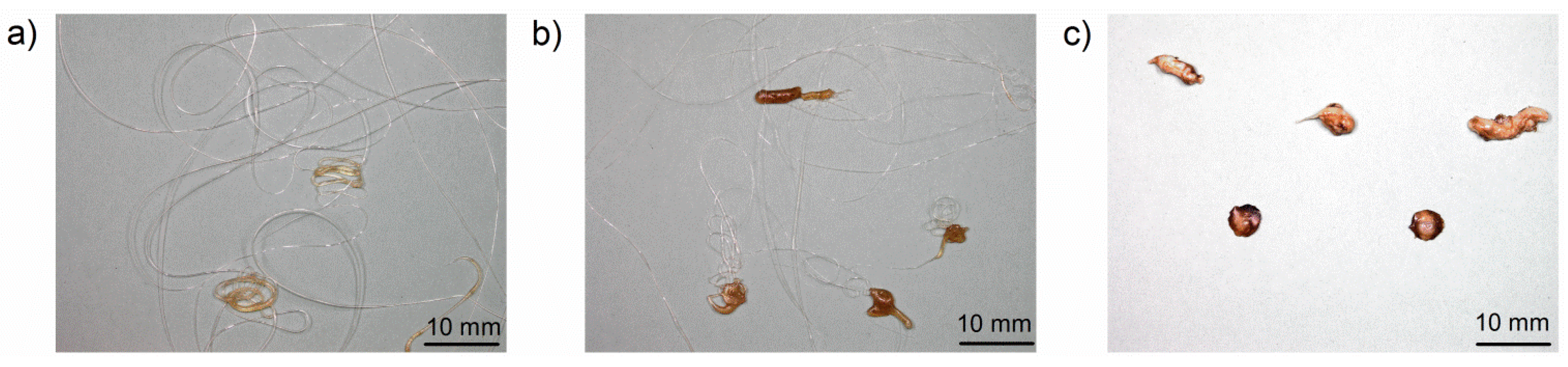 Materials 08 05267 g008 1024