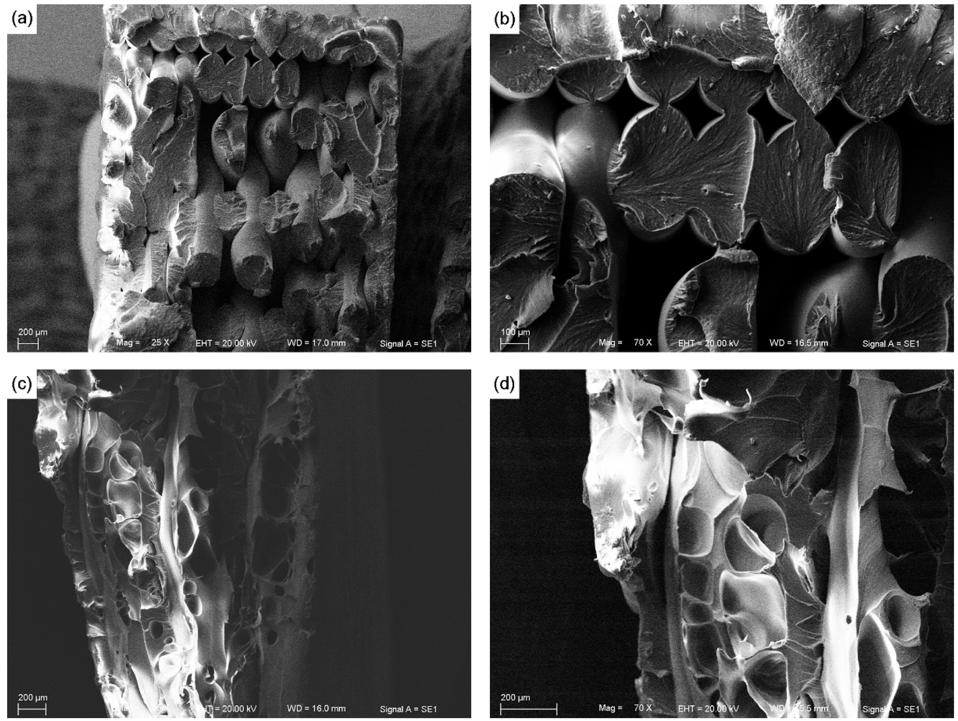 Materials 08 05271 g006 1024