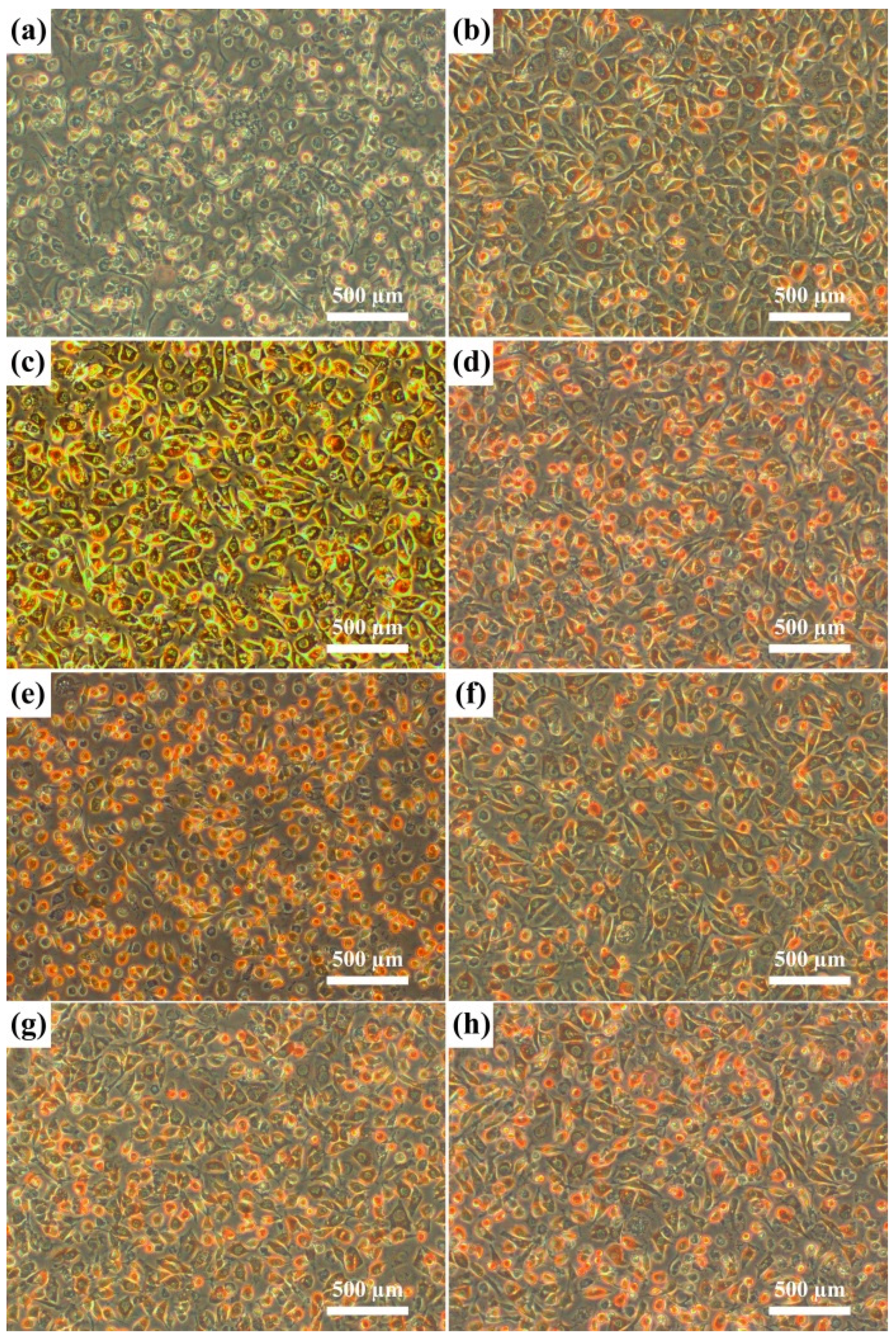 Materials 08 05287 g008 1024