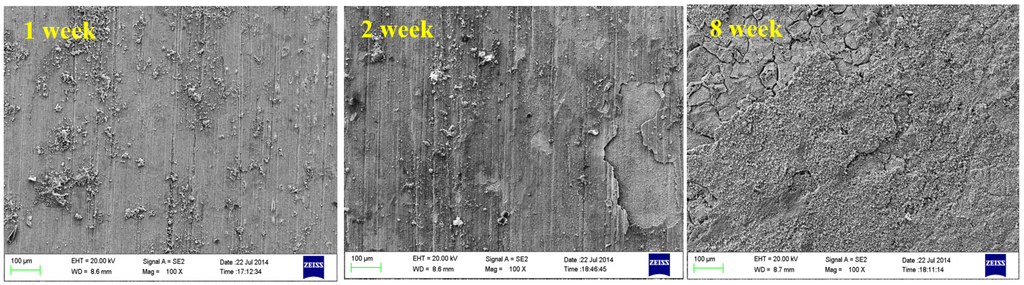 Materials 08 05290 g006 1024