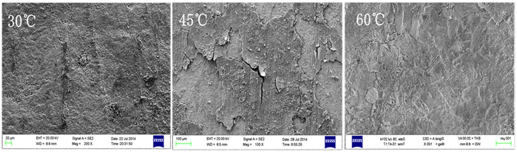 Materials 08 05290 g008 1024