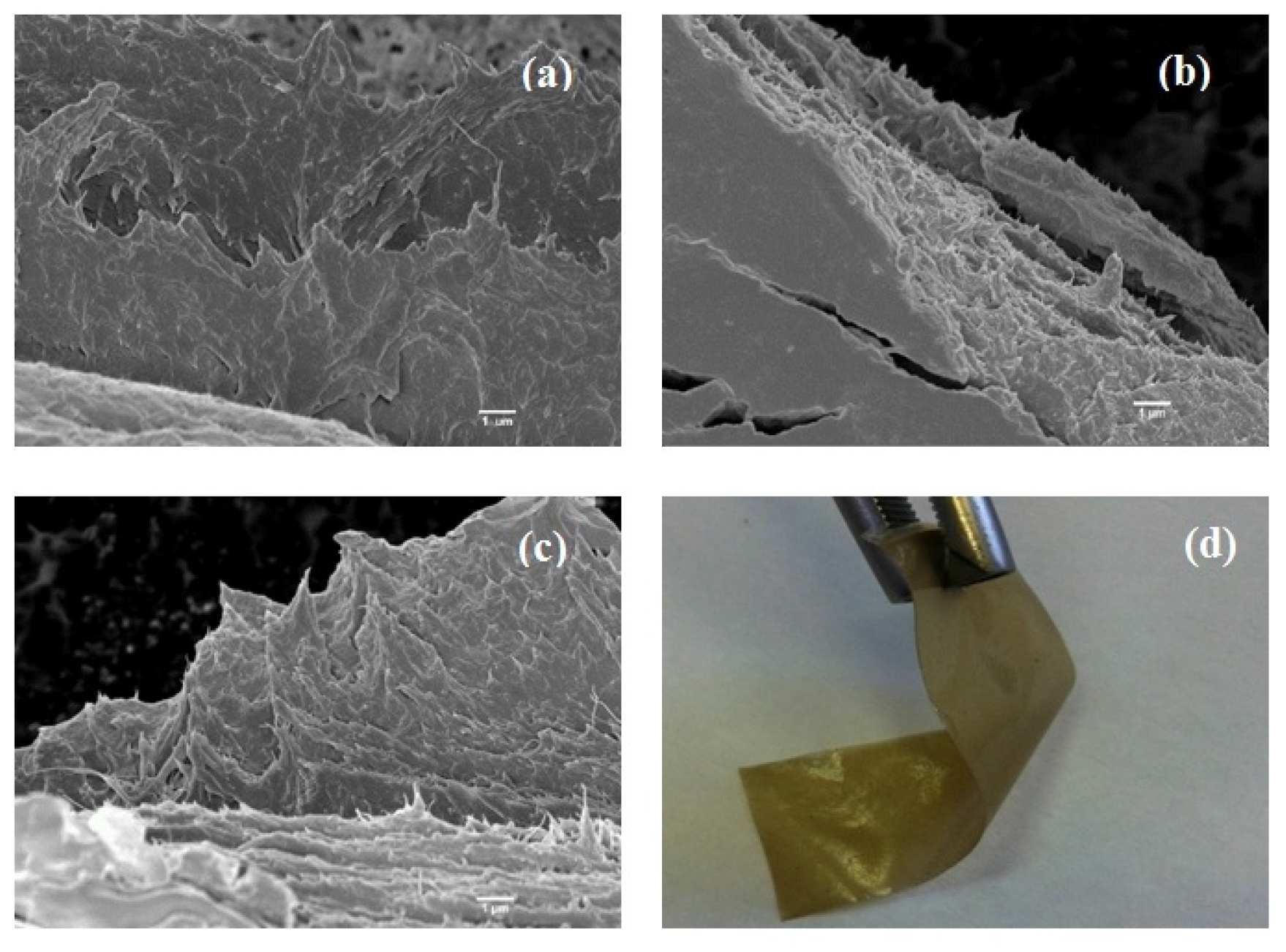 Materials 08 05309 g005