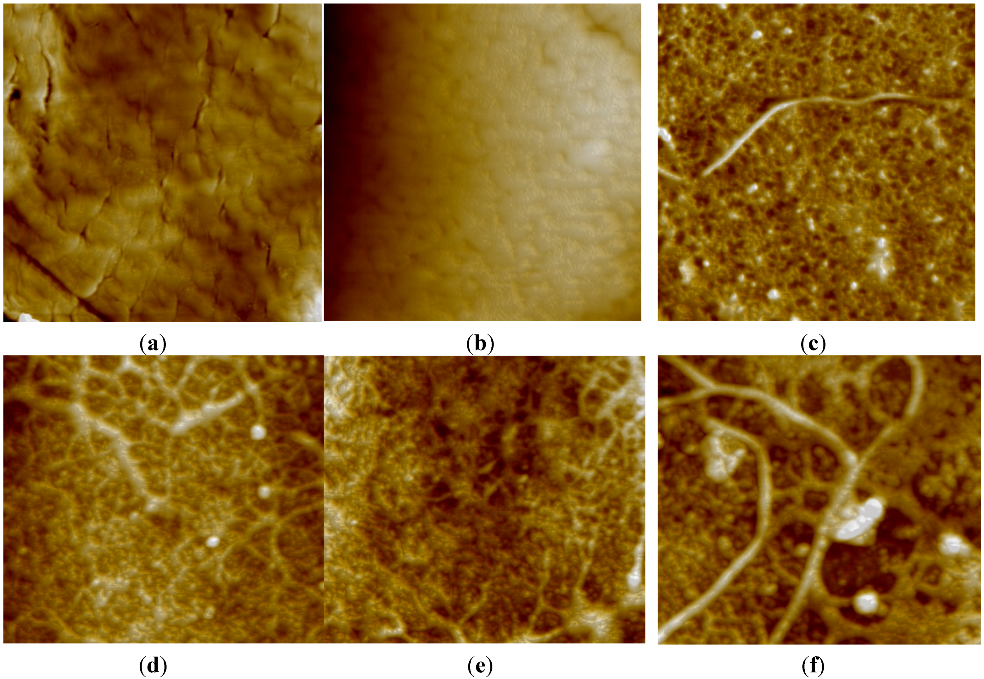 Materials 08 05313 g001