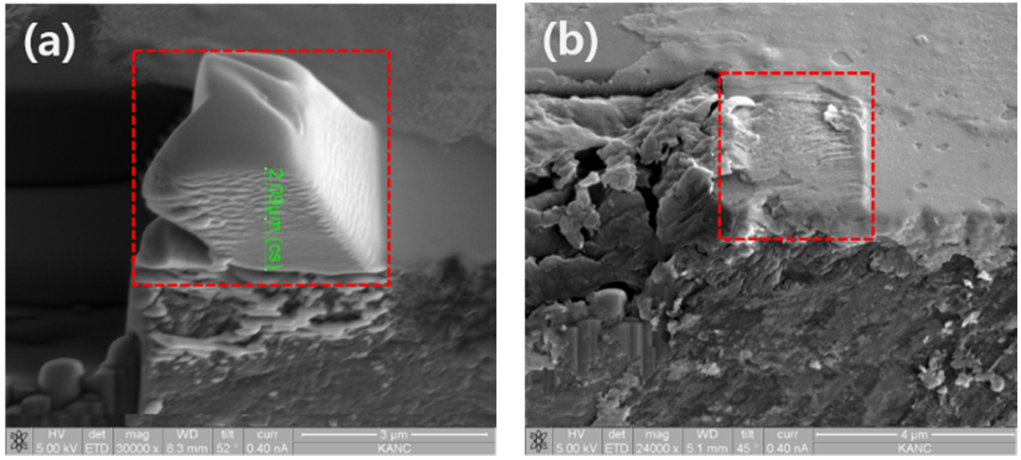 Materials 08 05317 g007 1024