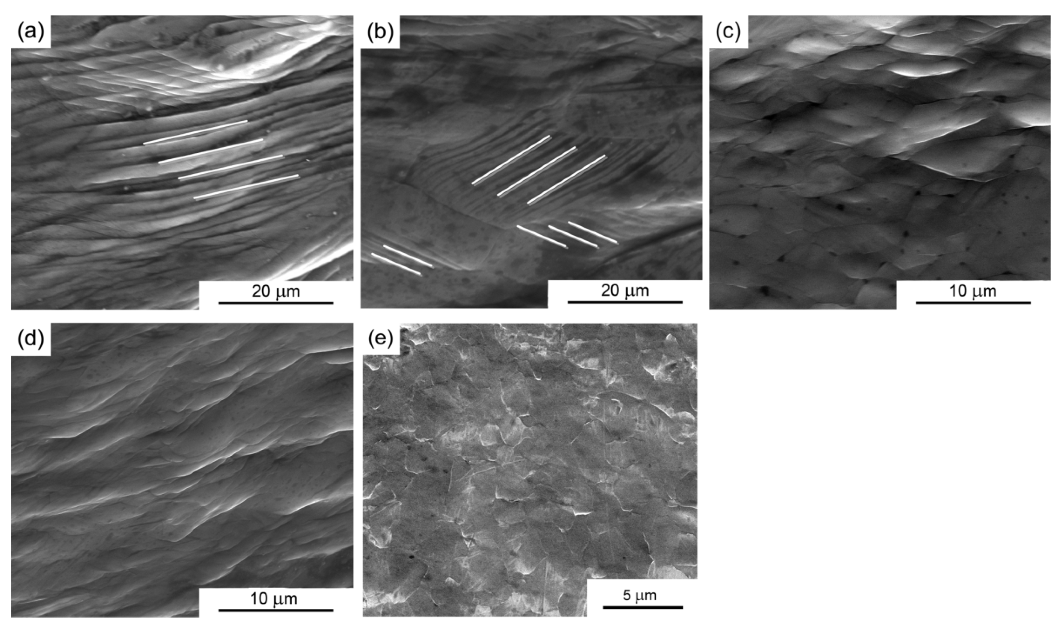 Materials 08 05391 g005