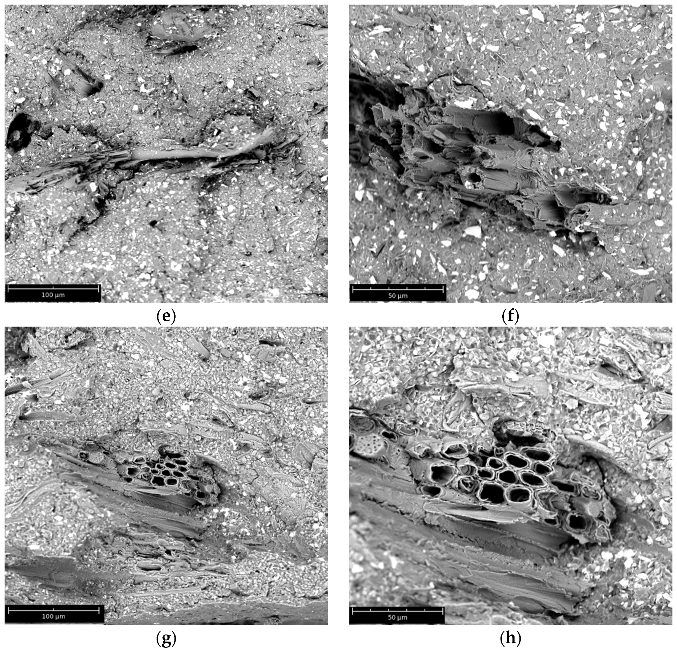 Materials 08 05406 g005b 1024