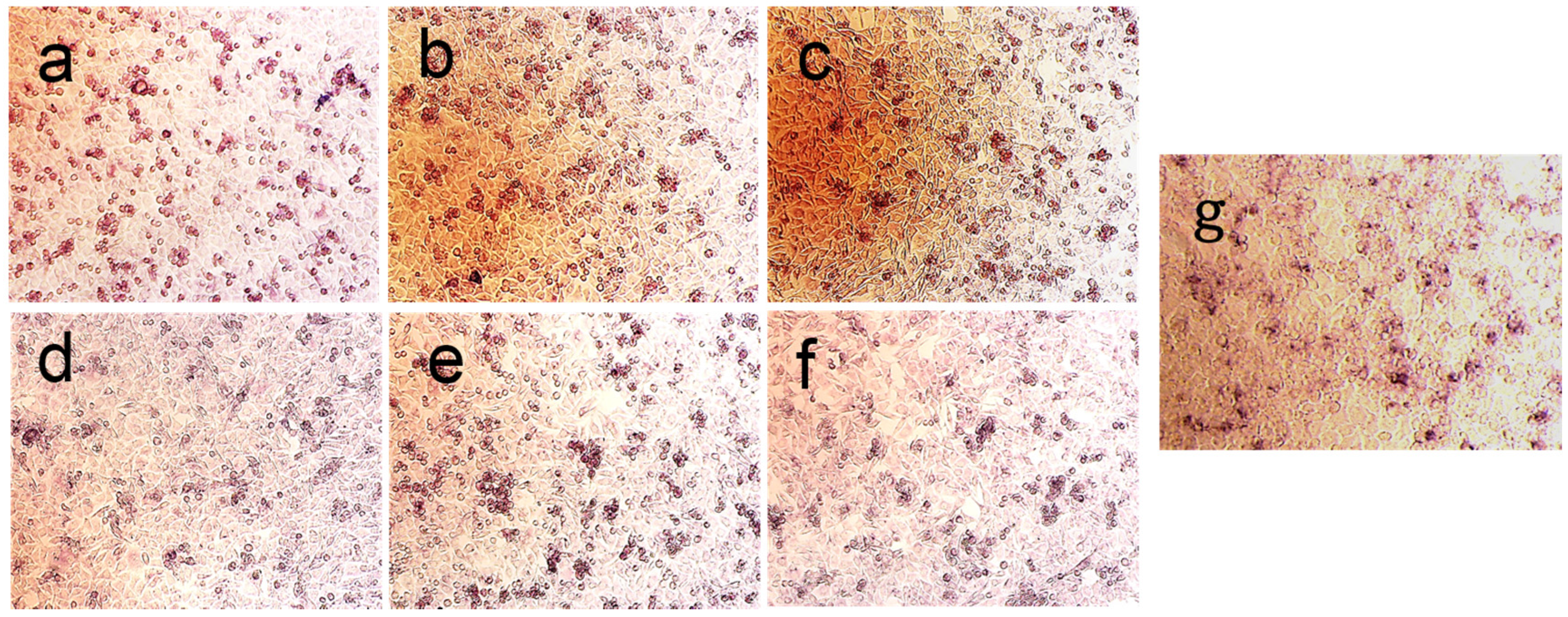 Materials 08 05440 g007