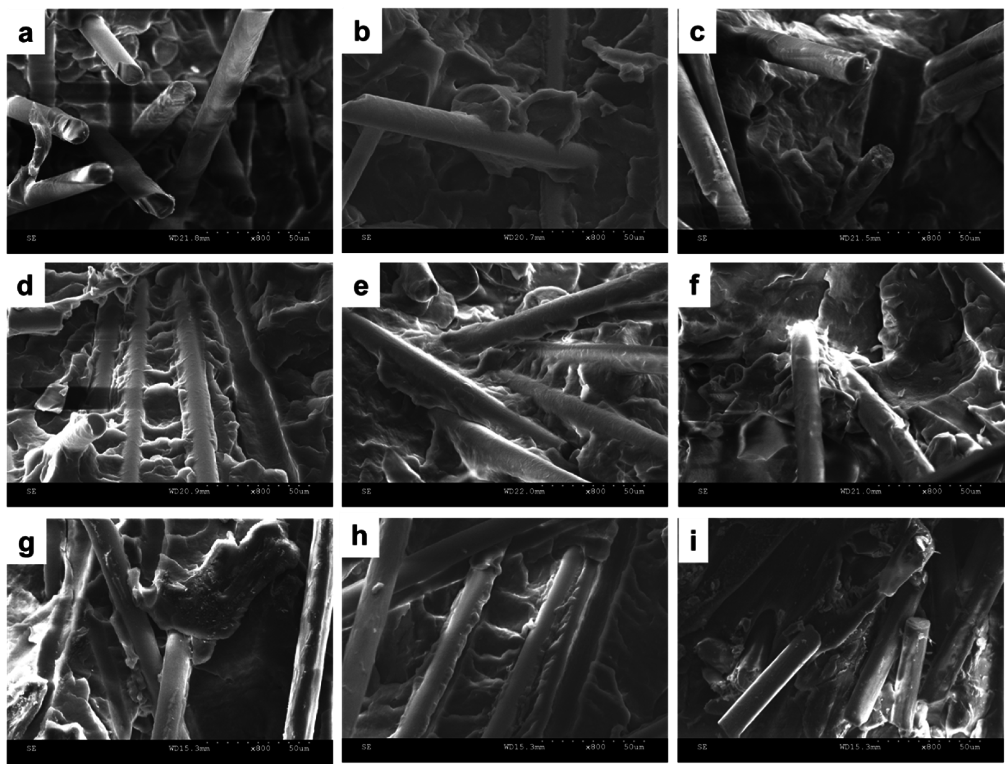 Materials 08 05451 g010