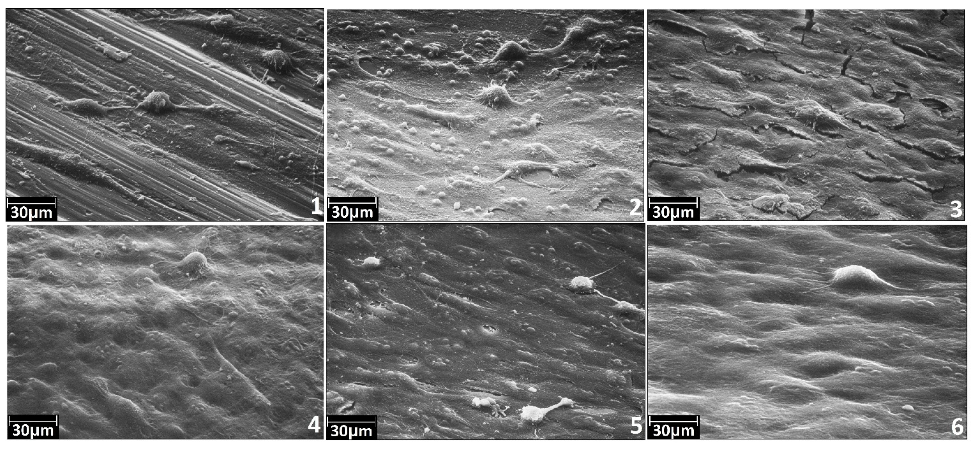 Materials 08 05460 g010