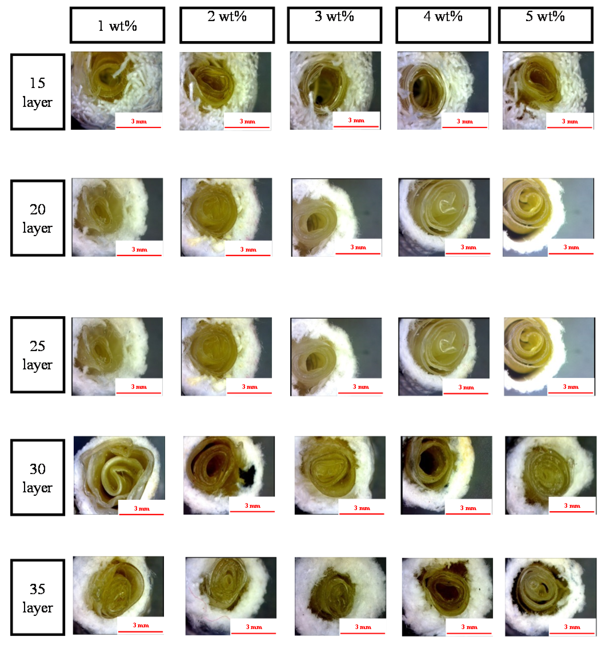 Materials 08 05488 g005