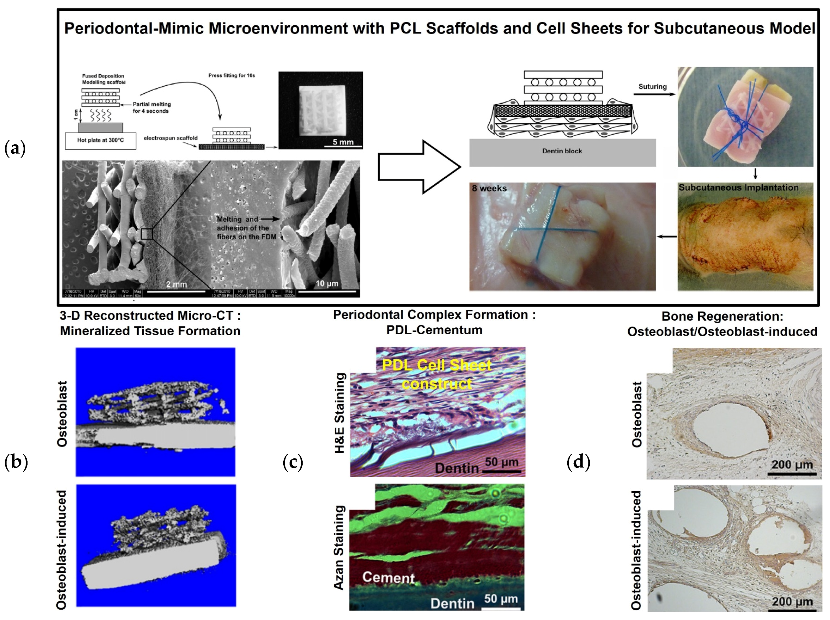 Materials 09 00057 g003 1024