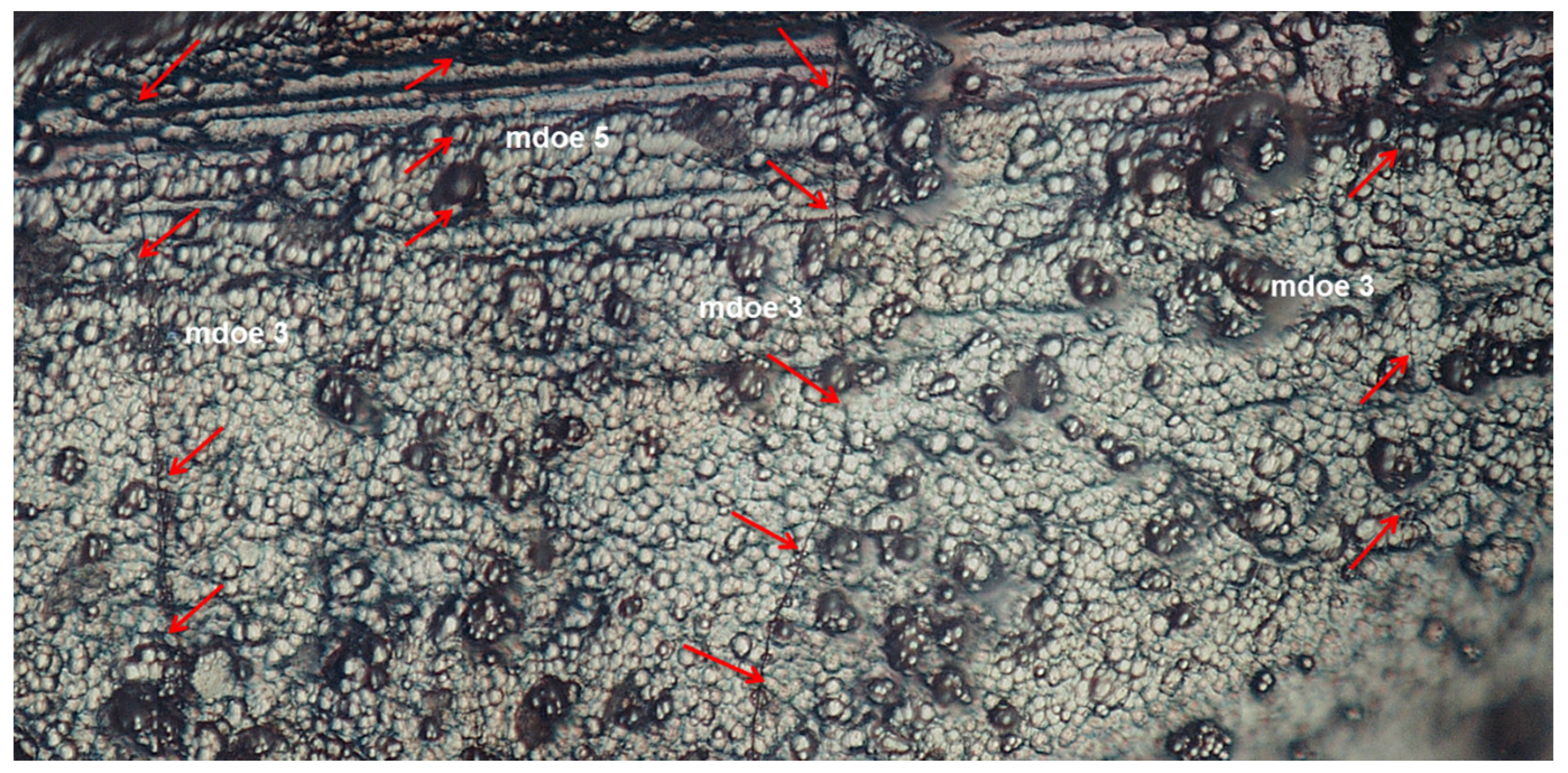 Materials 09 00062 g002