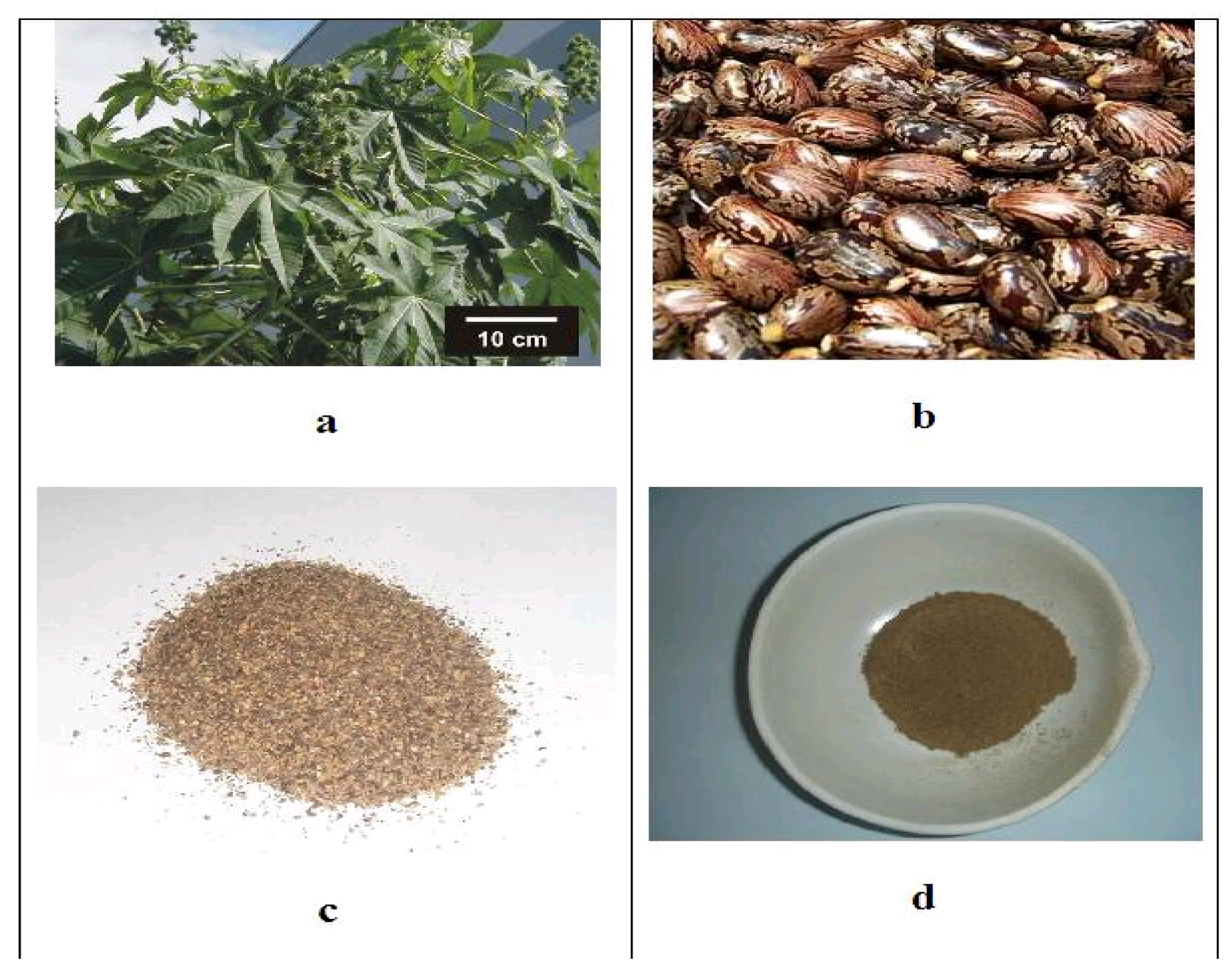 Materials 09 00076 g001