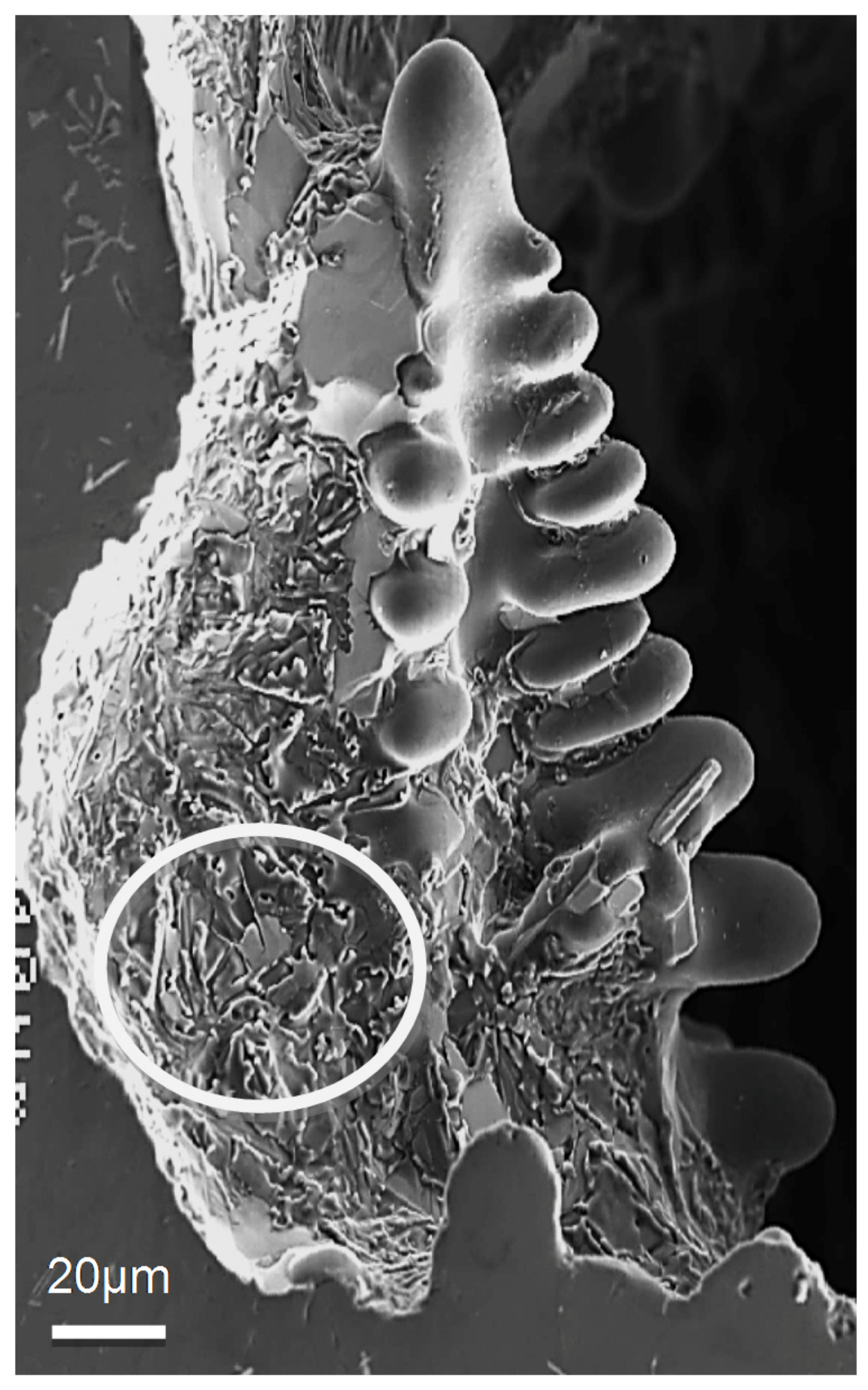 Materials 09 00078 g003