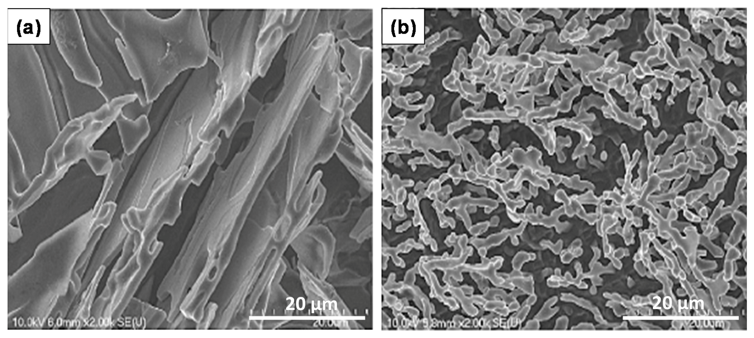 Materials 09 00078 g008