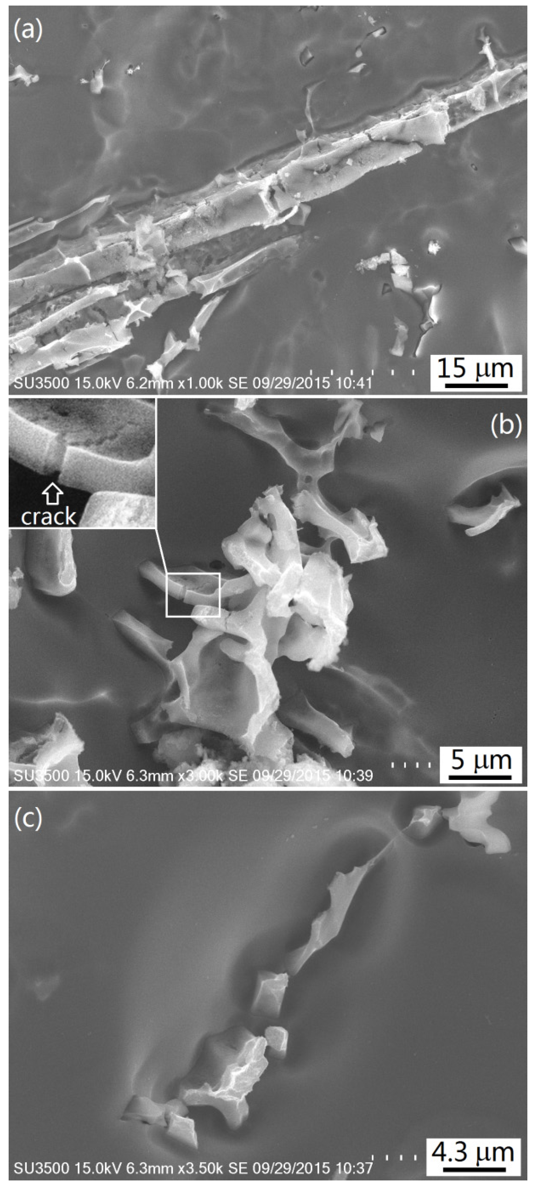 Materials 09 00088 g006