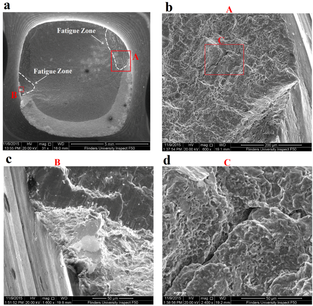 fatigue effects with peek material fatigue effects with peek material