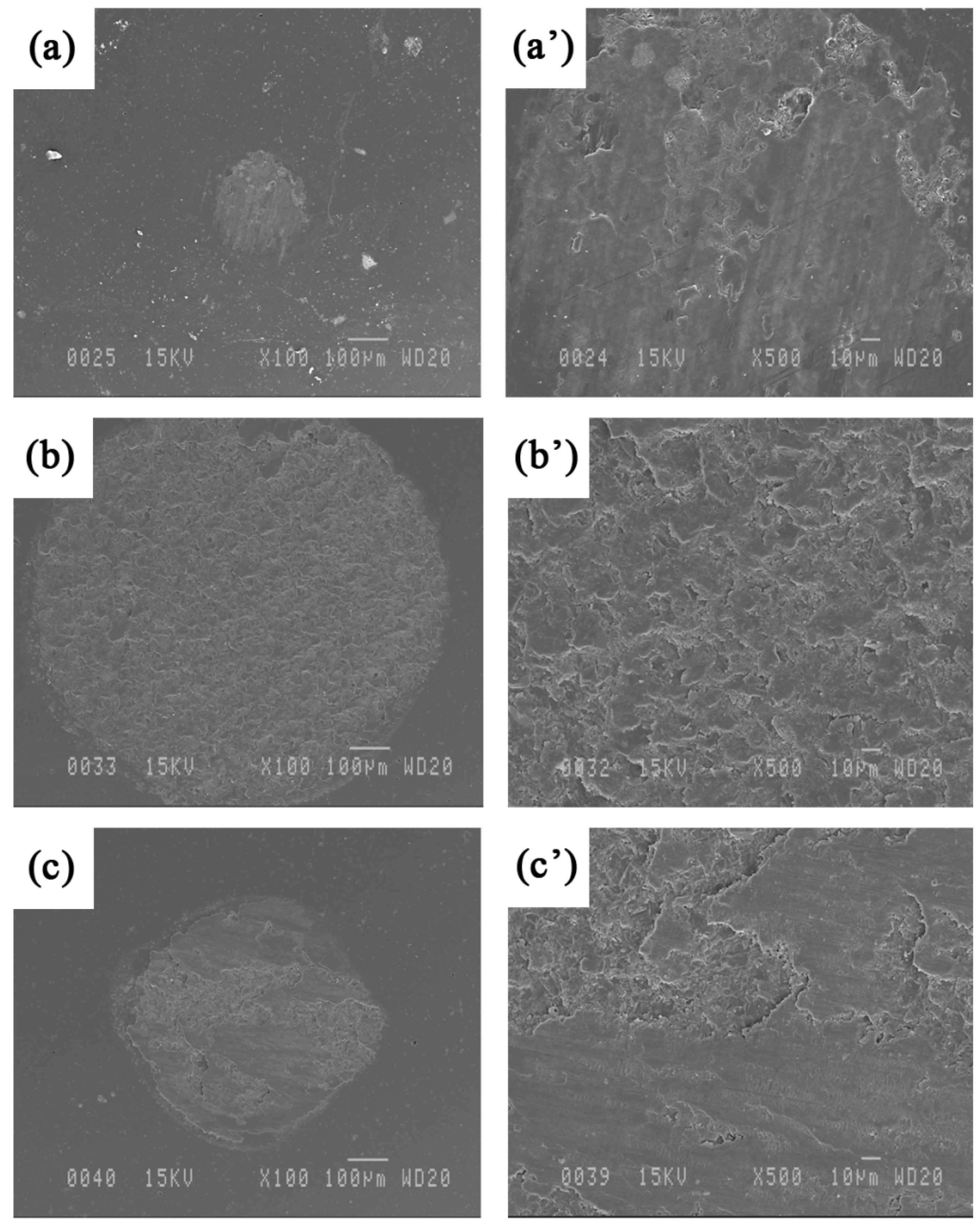 Materials 09 00117 g015 1024