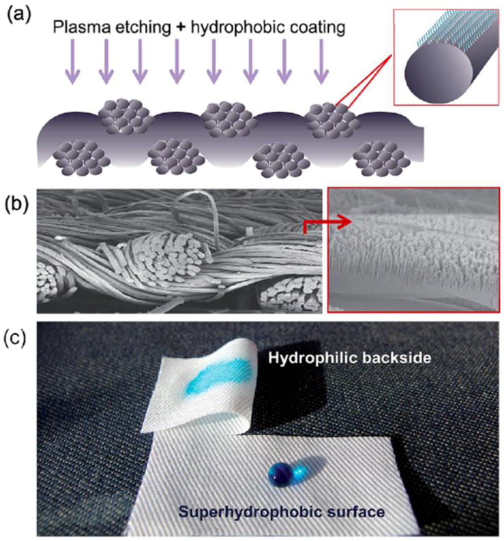 Recent Advances in Superhydrophobic and Antibacterial Cellulose