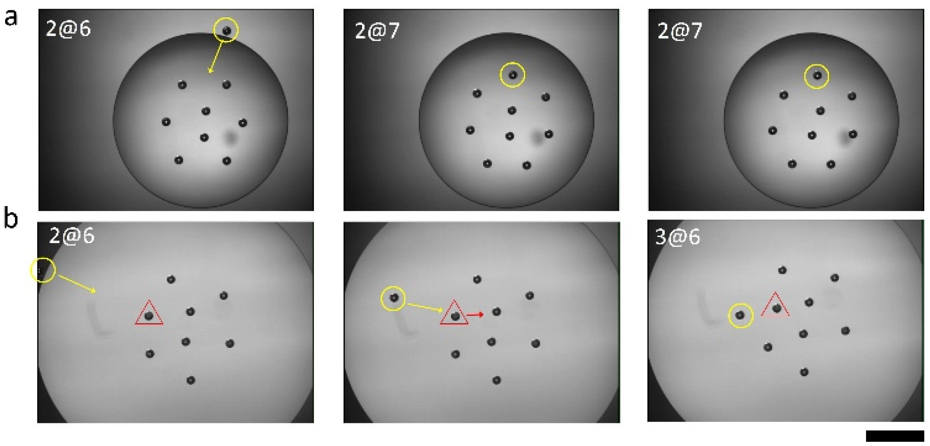 Materials 09 00138 g002