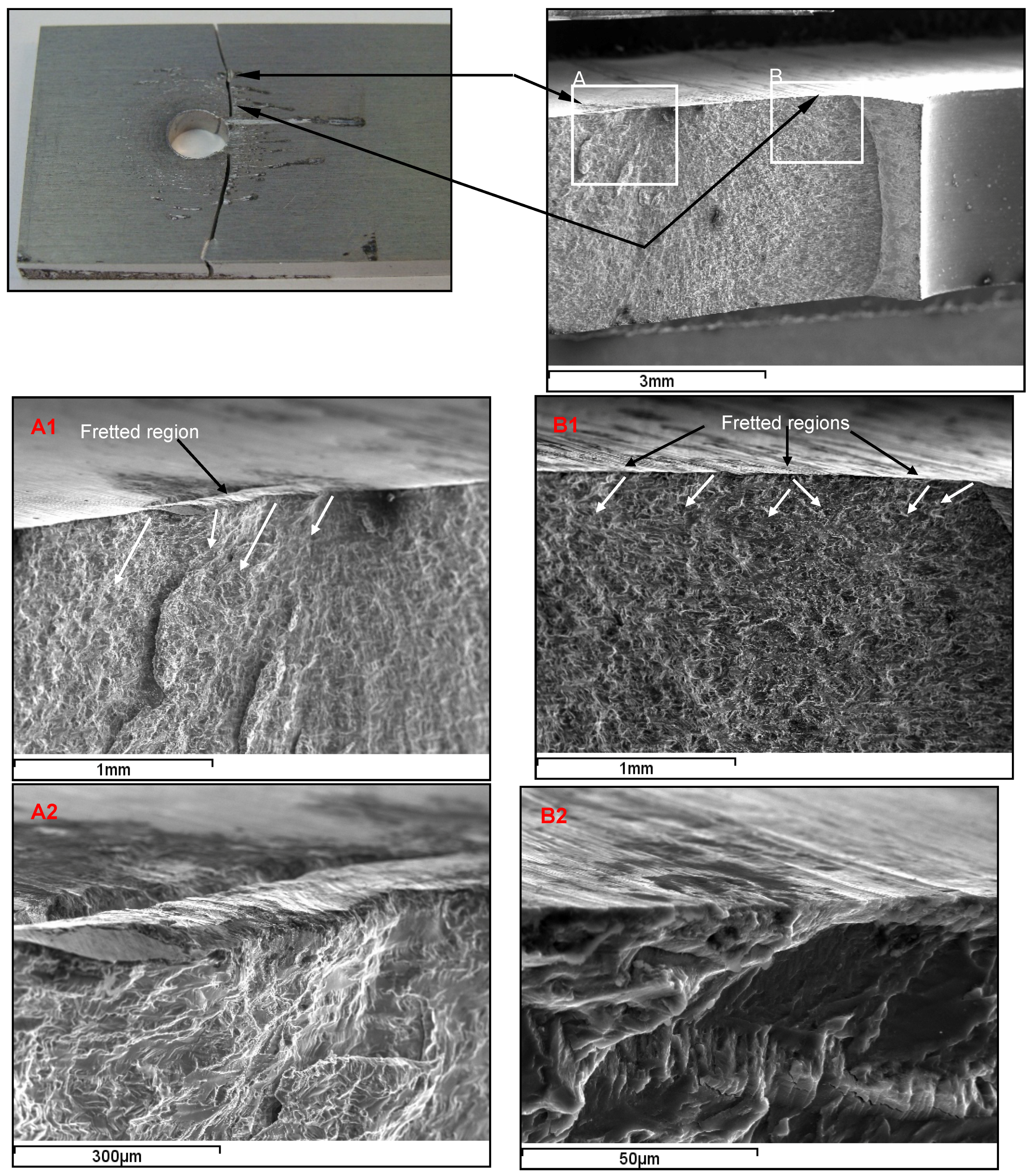 Materials 09 00141 g006