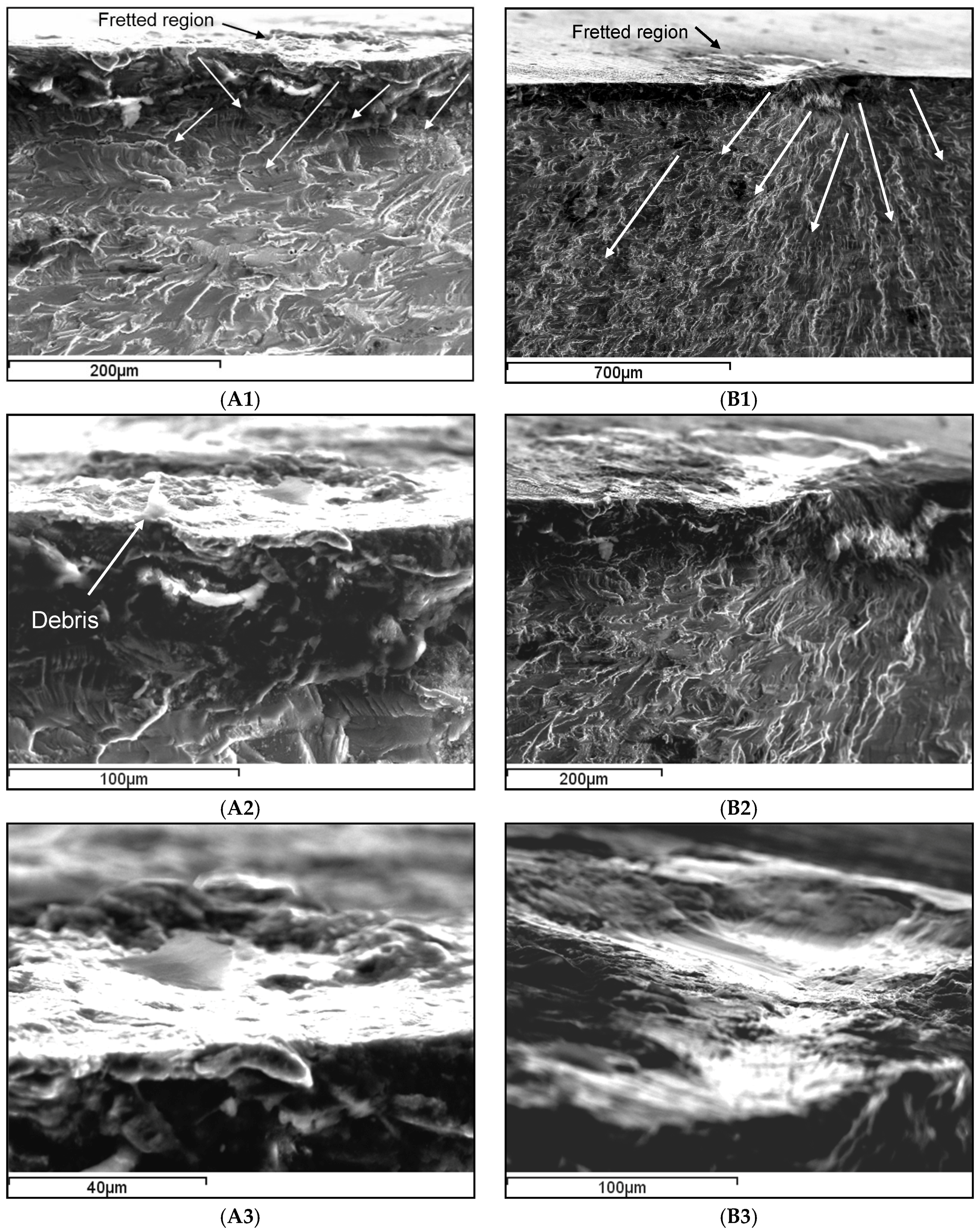 Materials 09 00141 g007b