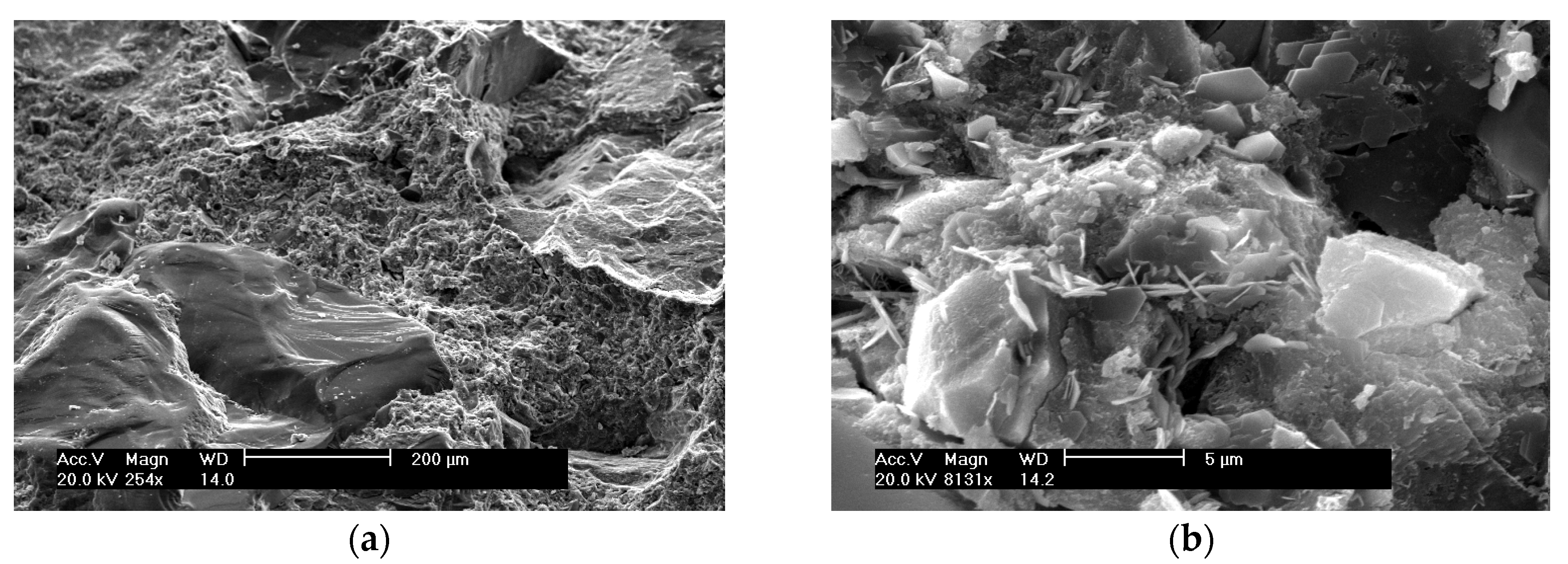 Materials 09 00146 g005 1024