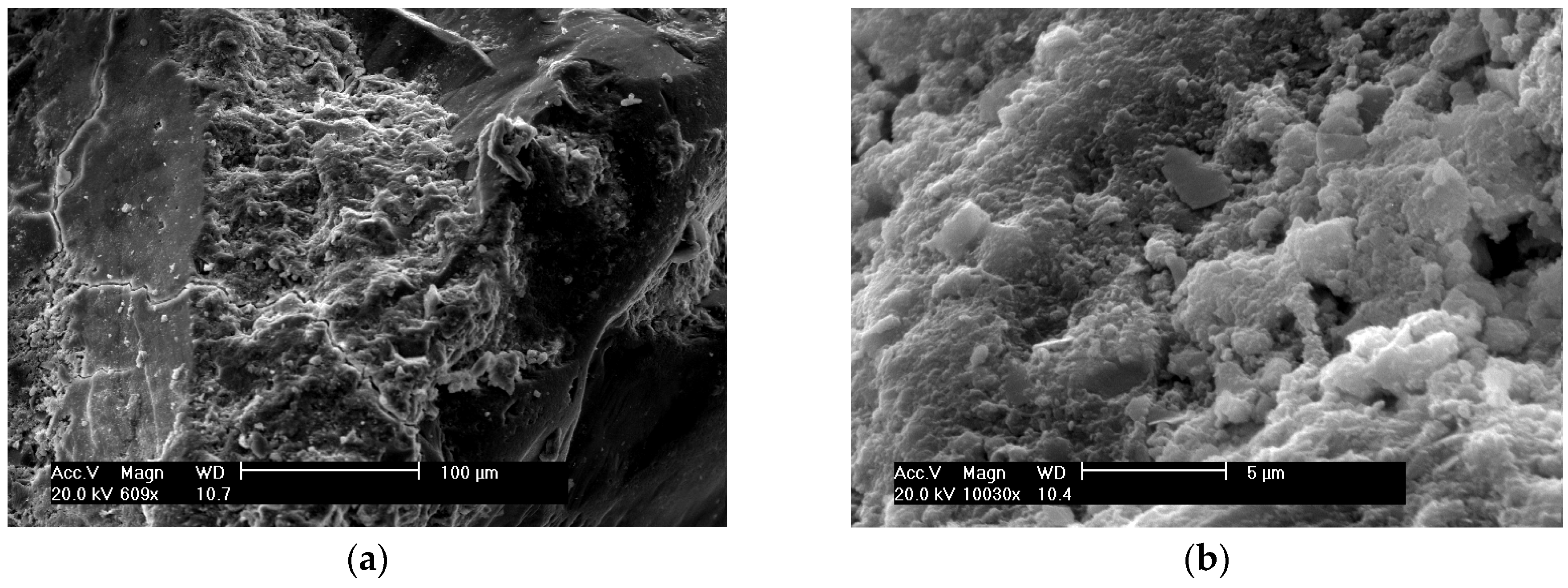 Materials 09 00146 g006 1024