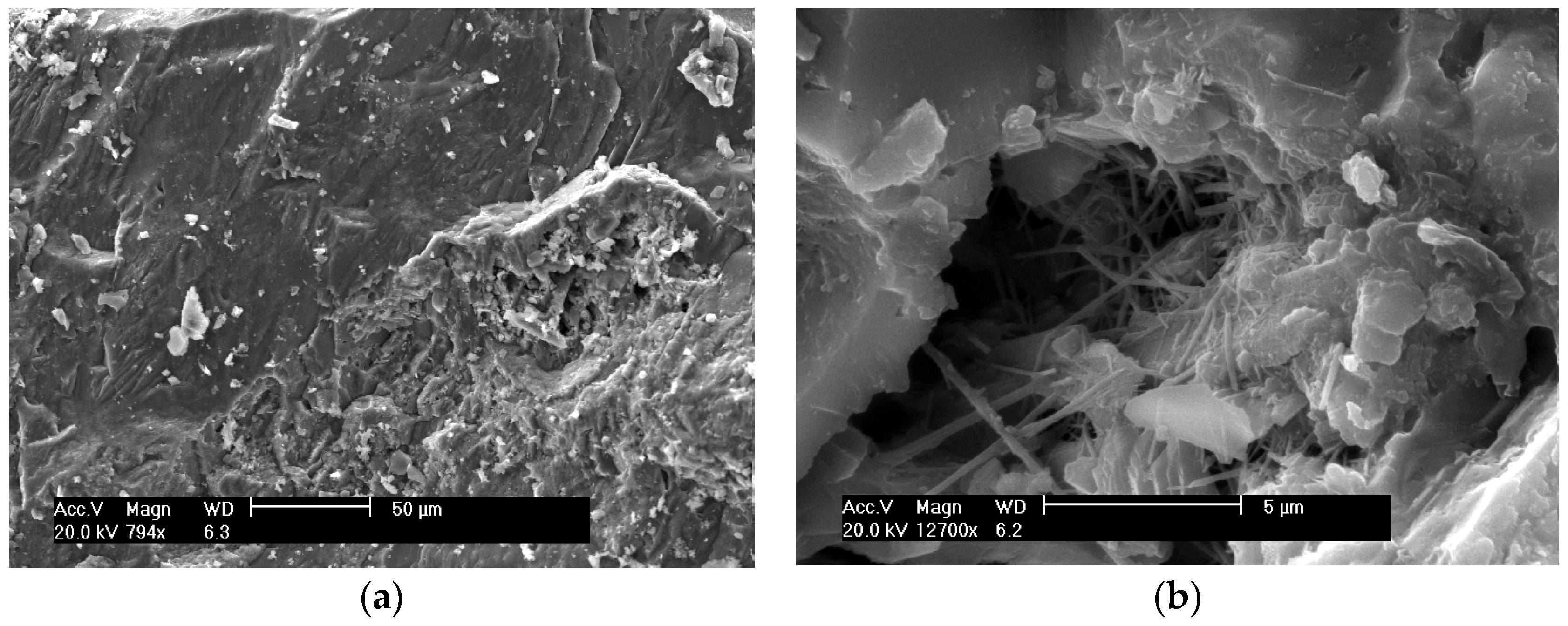 Materials 09 00146 g007 1024