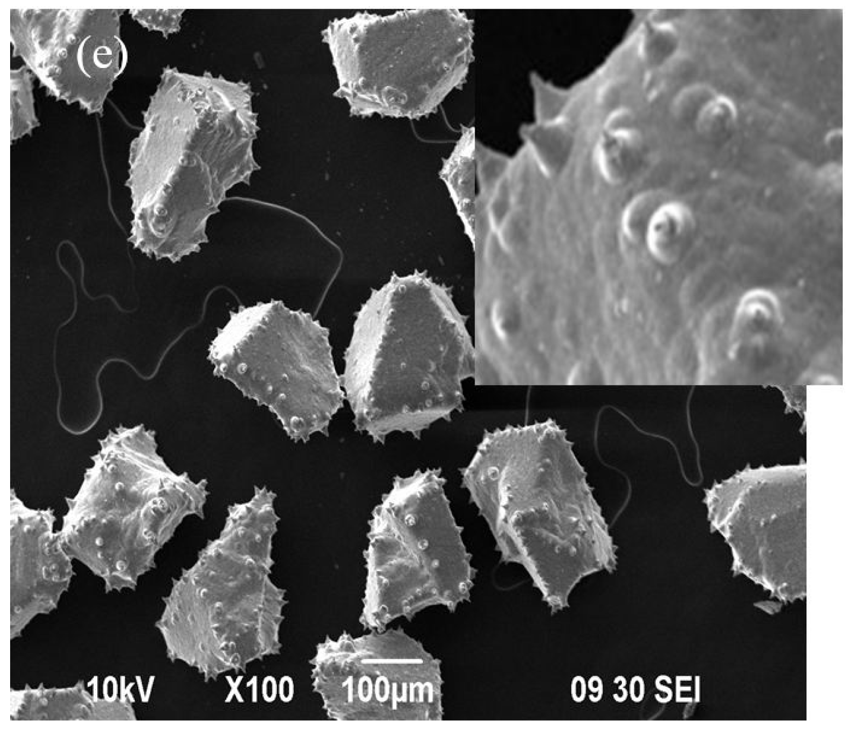 Materials 09 00153 g001b