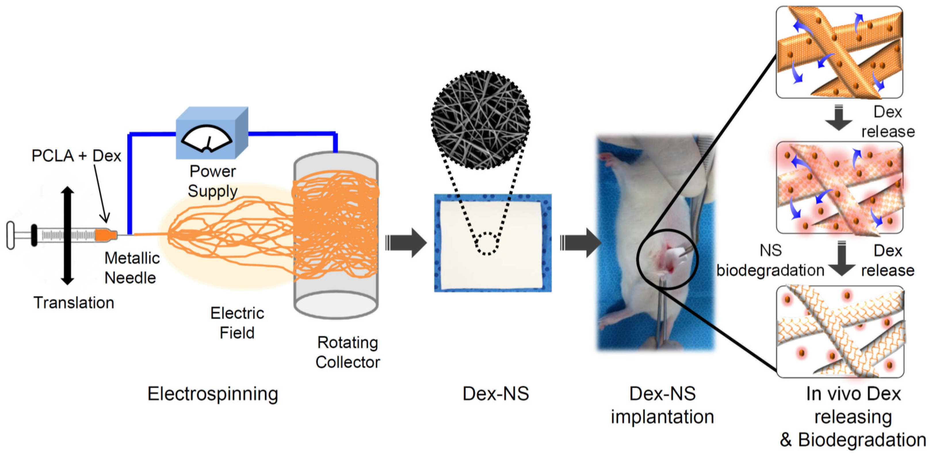 Materials 09 00175 g001 1024