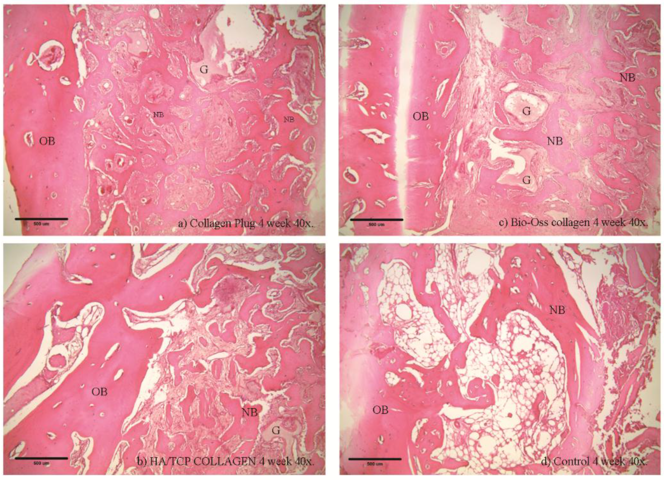 Materials 09 00191 g005 1024