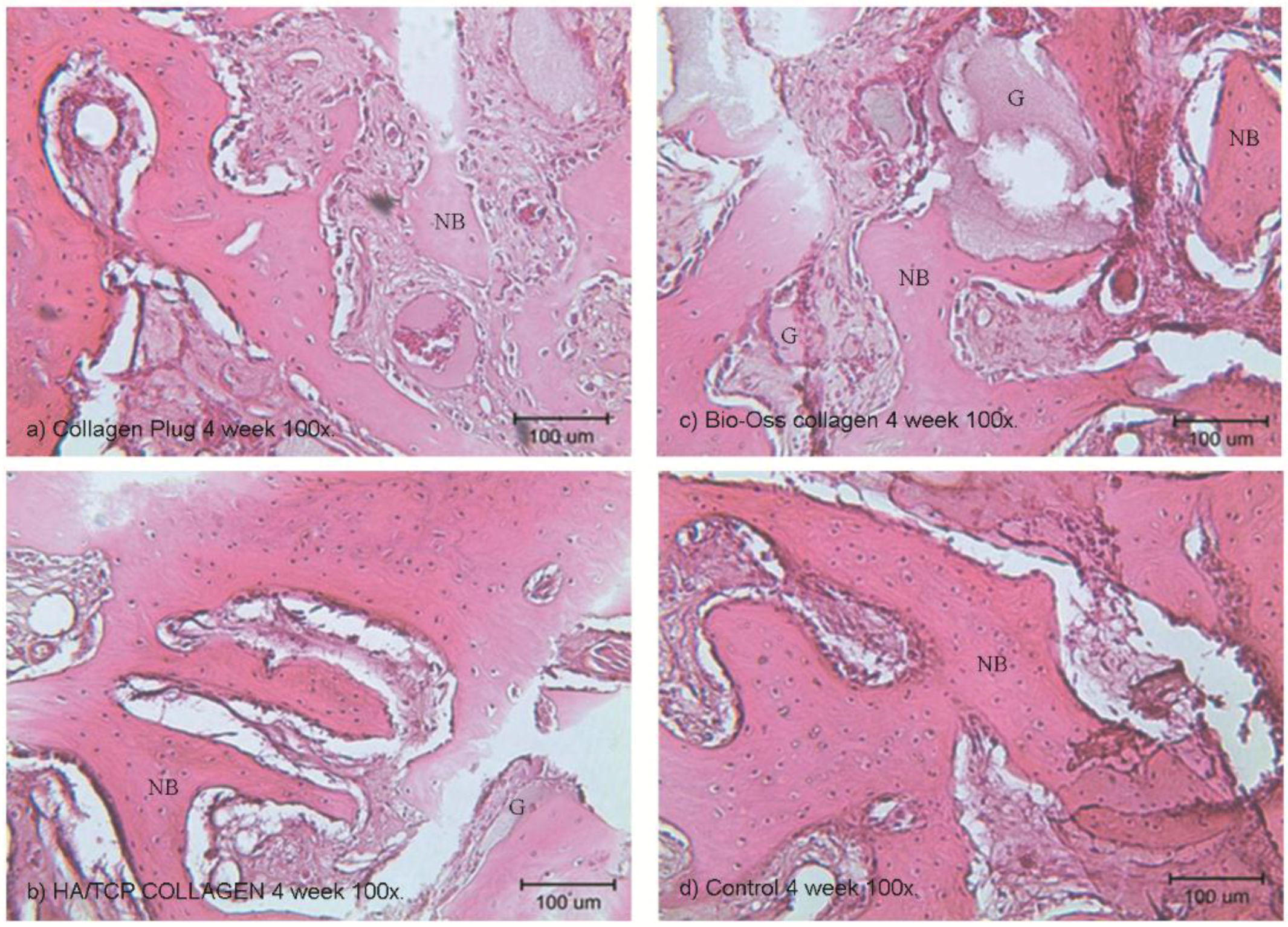 Materials 09 00191 g006 1024