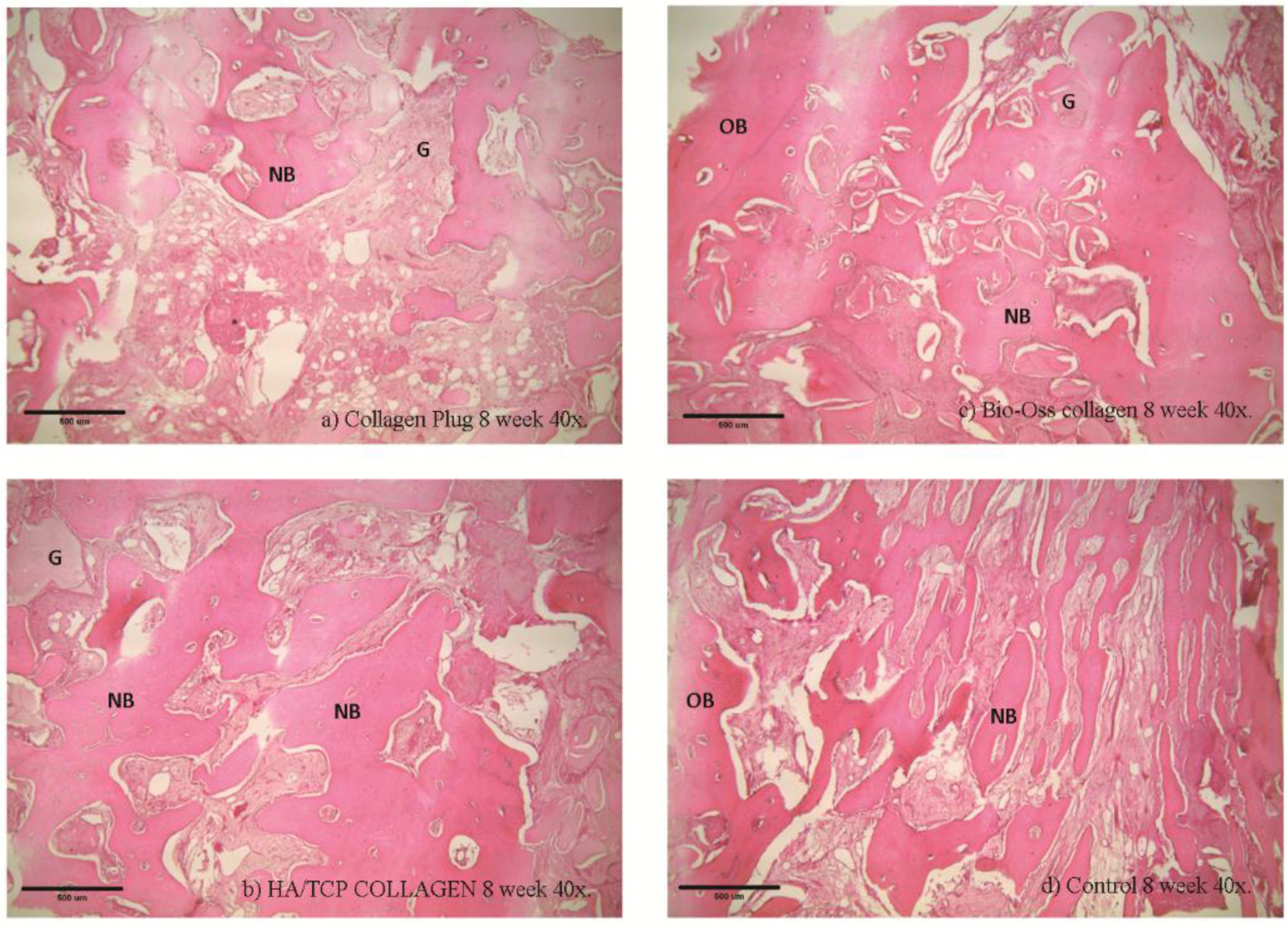 Materials 09 00191 g007 1024