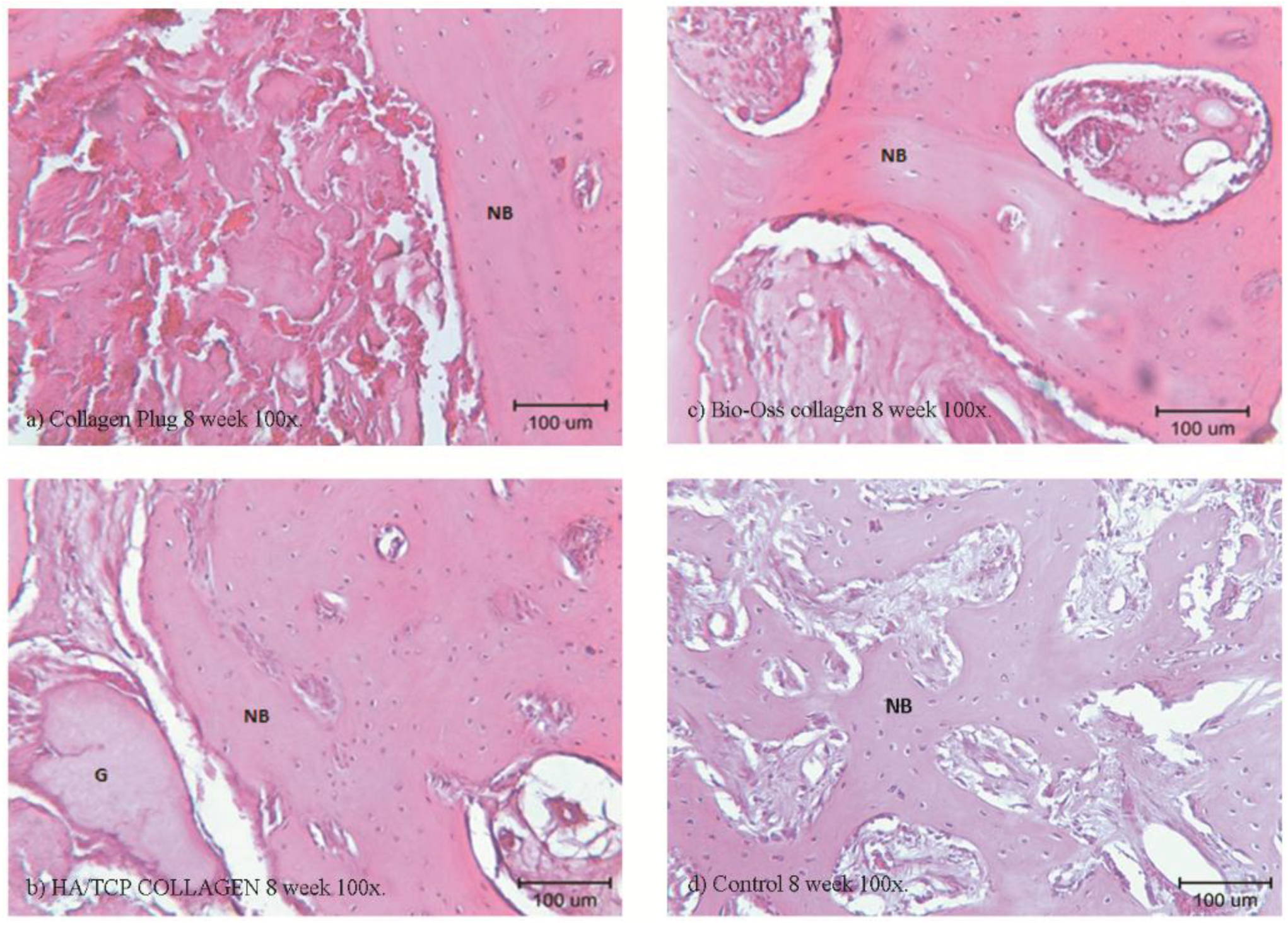 Materials 09 00191 g008 1024