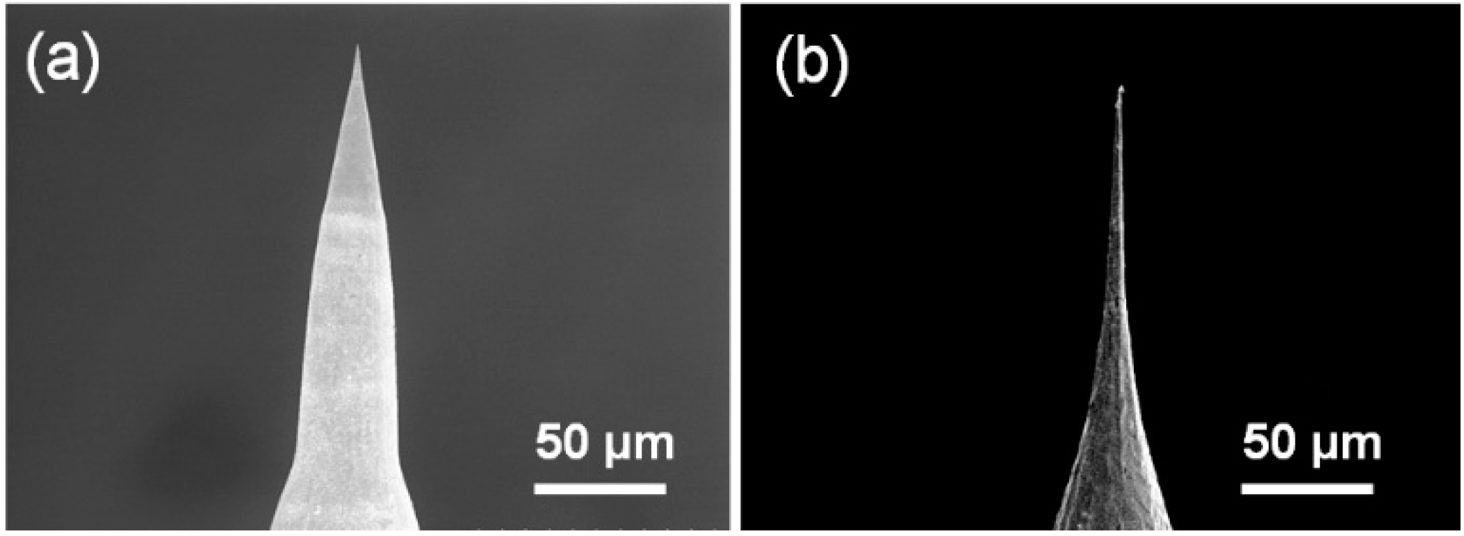 Materials 09 00233 g004