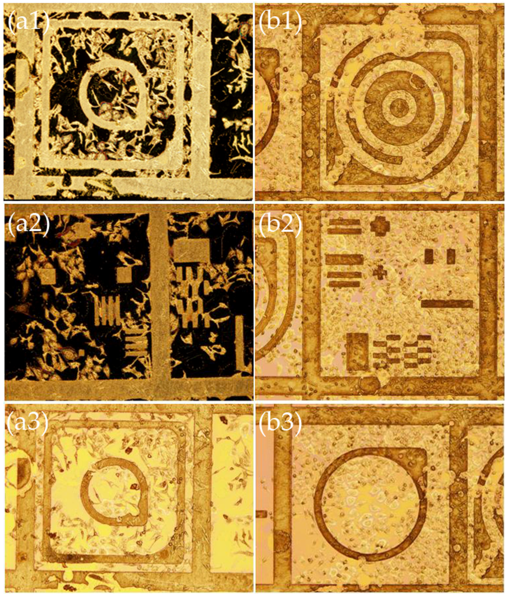 Materials 09 00256 g004 1024